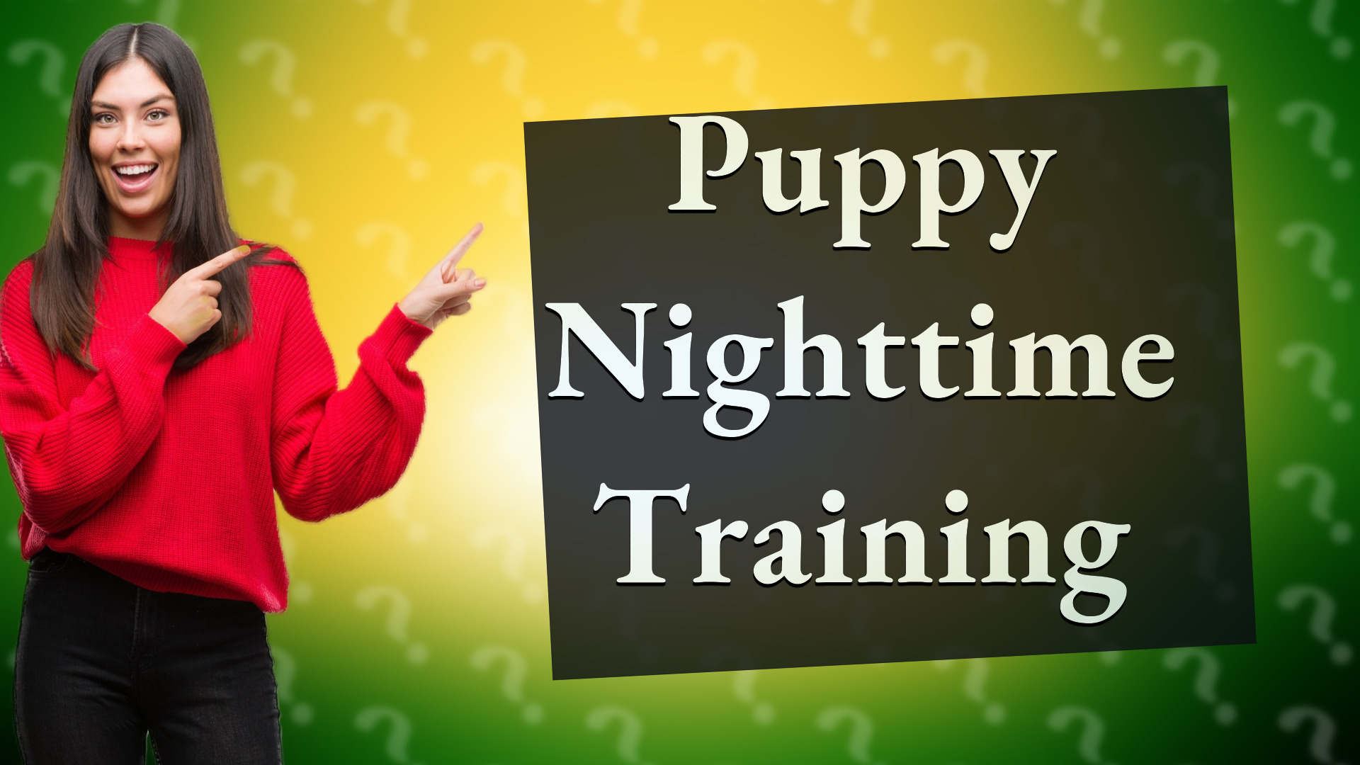 Puppy Nighttime Training