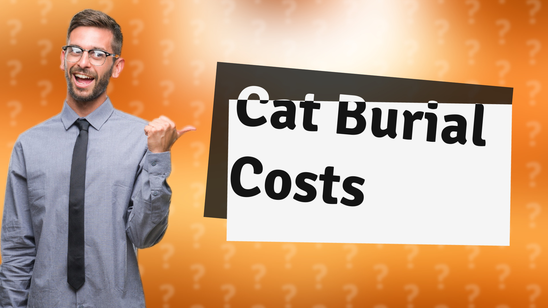 Cat Burial Costs