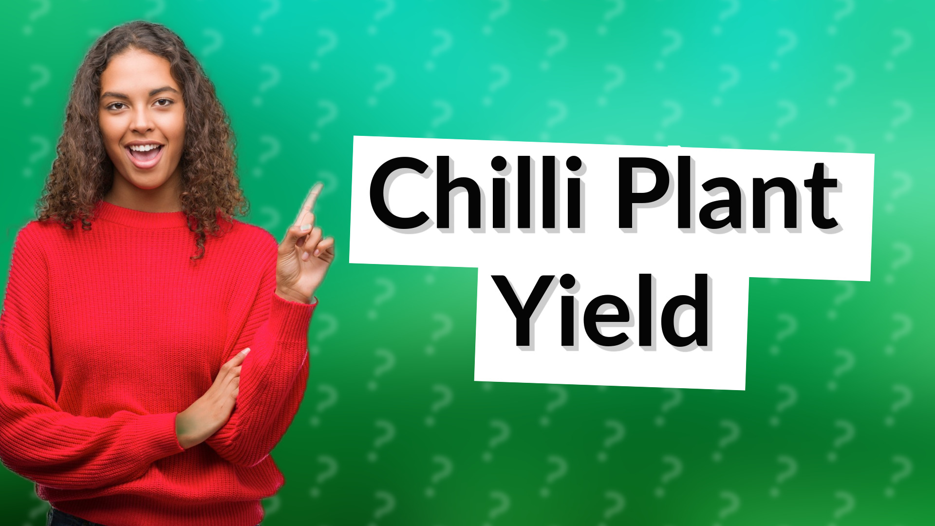 Chilli Plant Yield