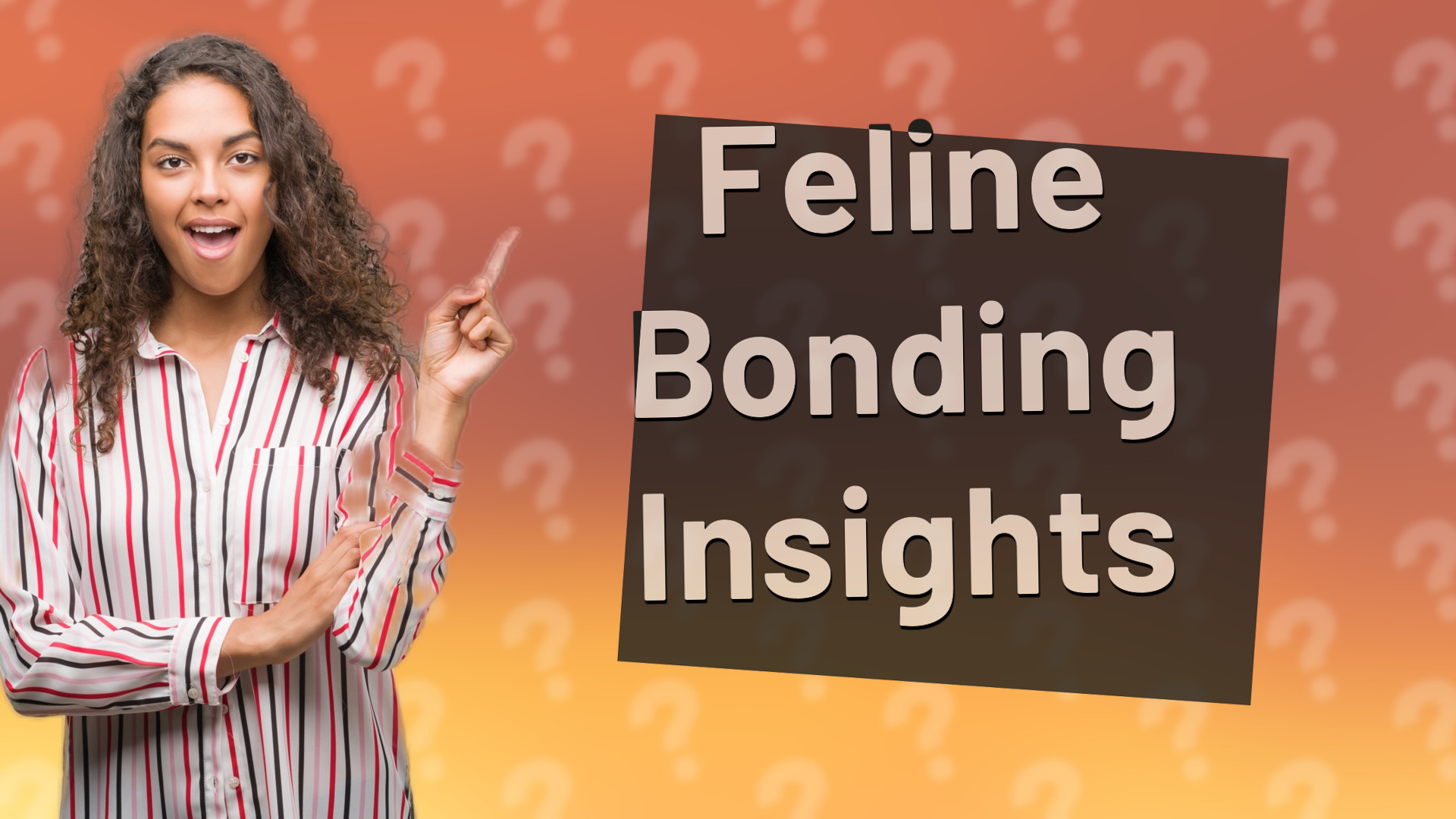 Feline Bonding Insights