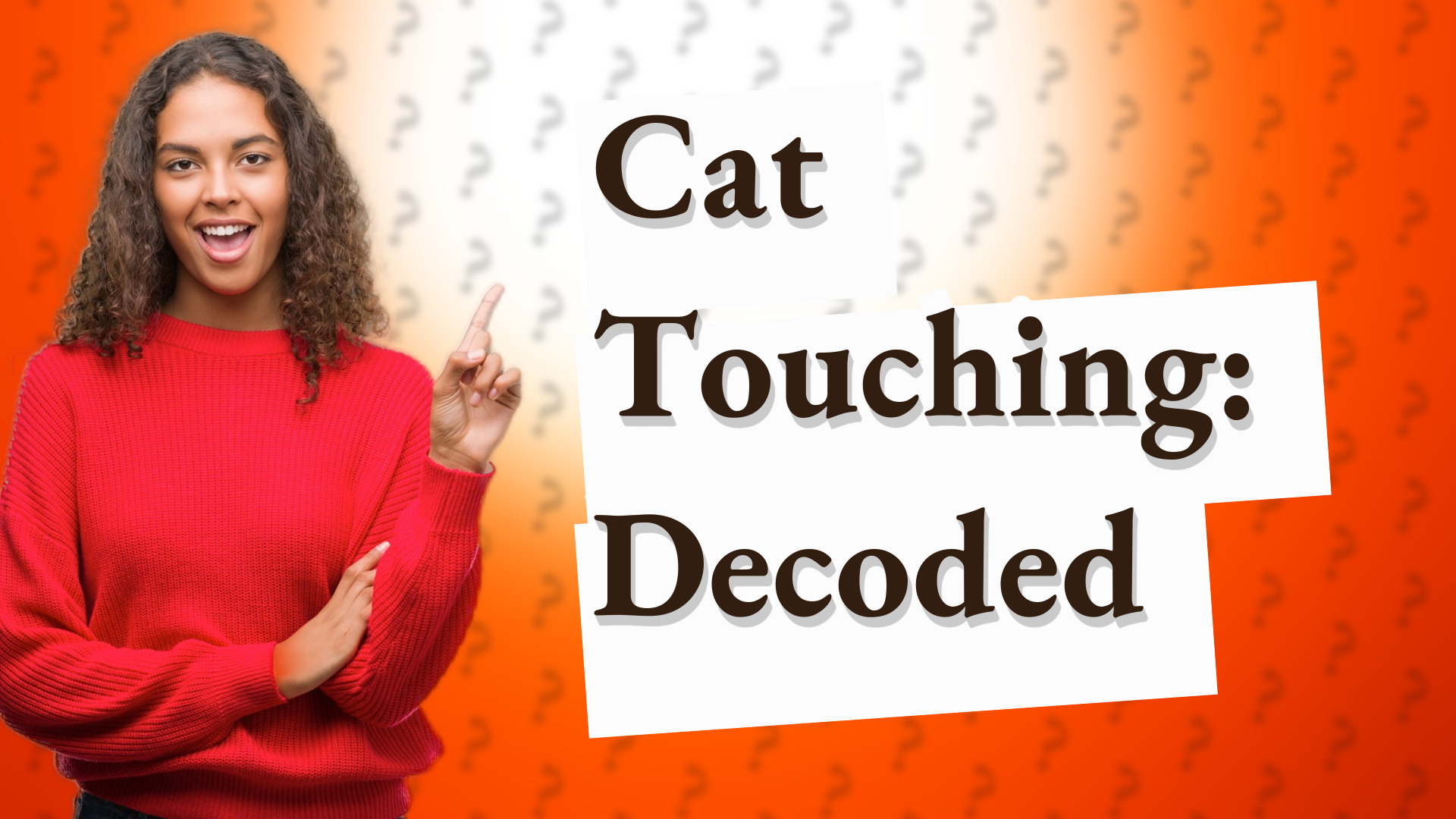 Cat Touching: Decoded