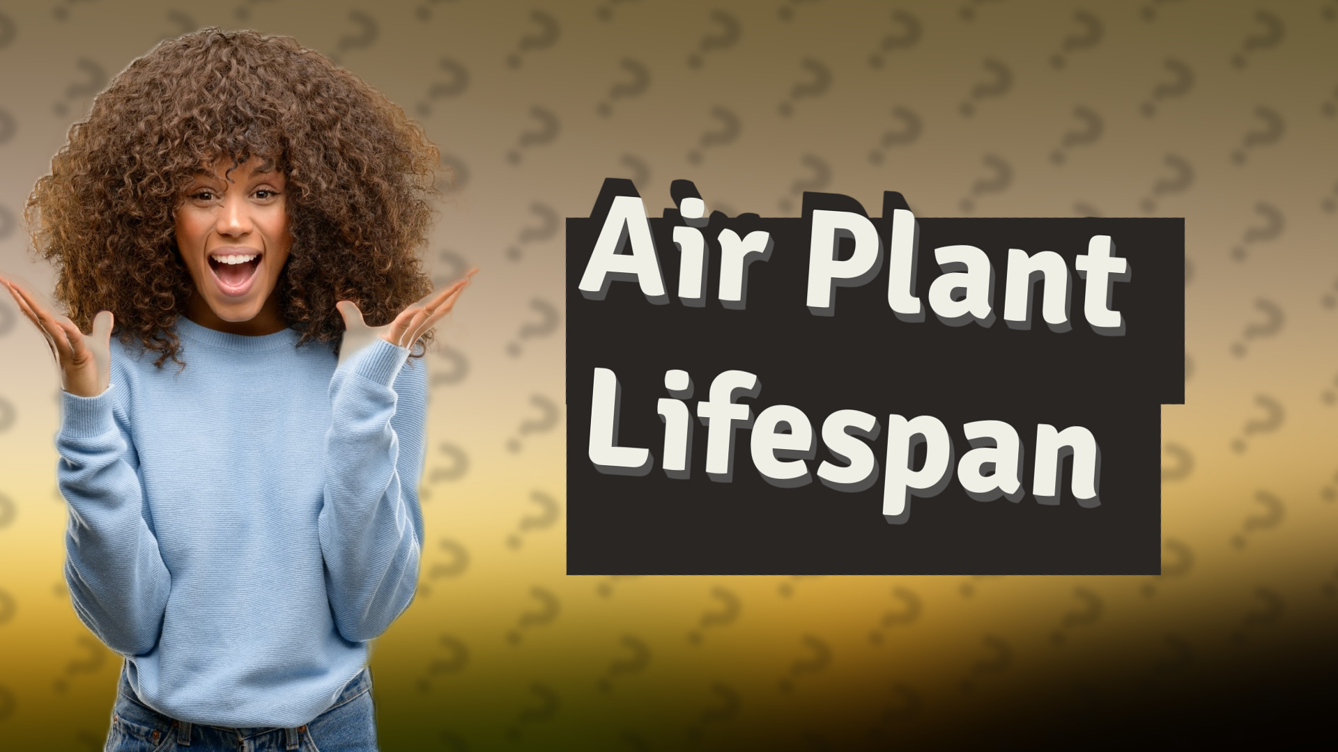 Air Plant Lifespan