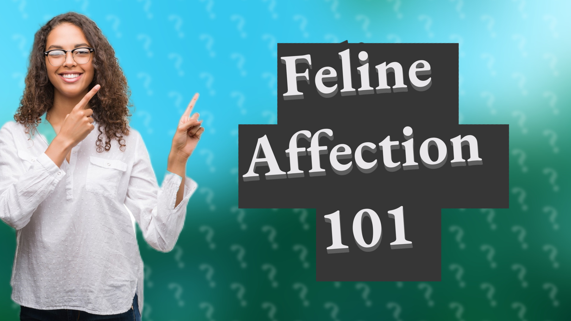 Feline Affection 101