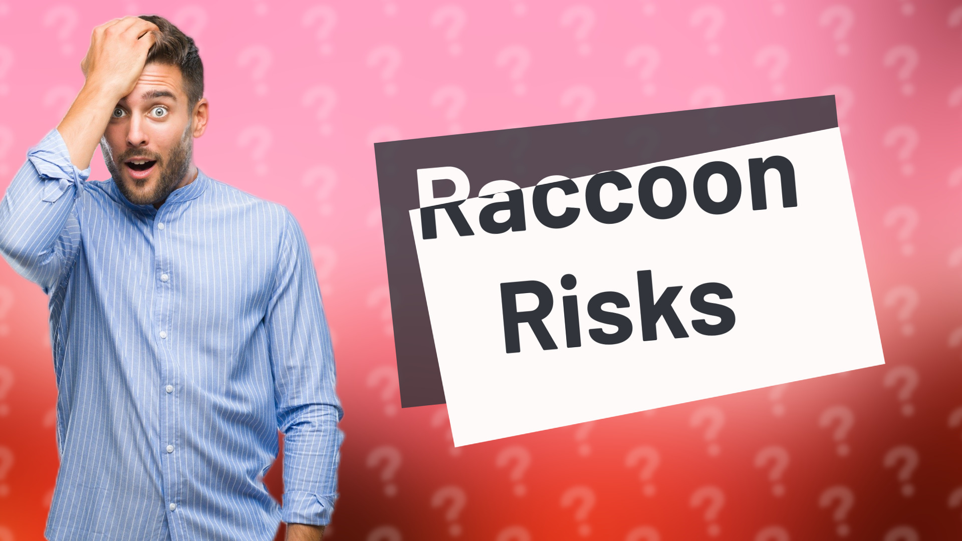 Raccoon Risks
