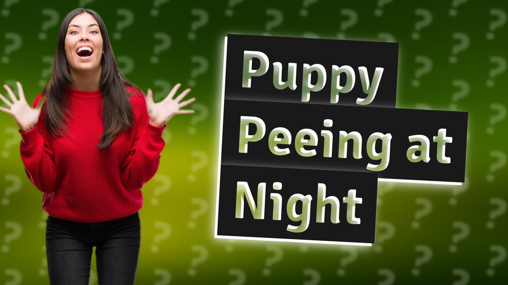 Puppy Peeing at Night