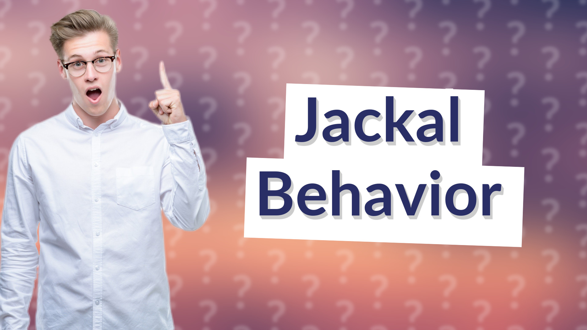Jackal Behavior