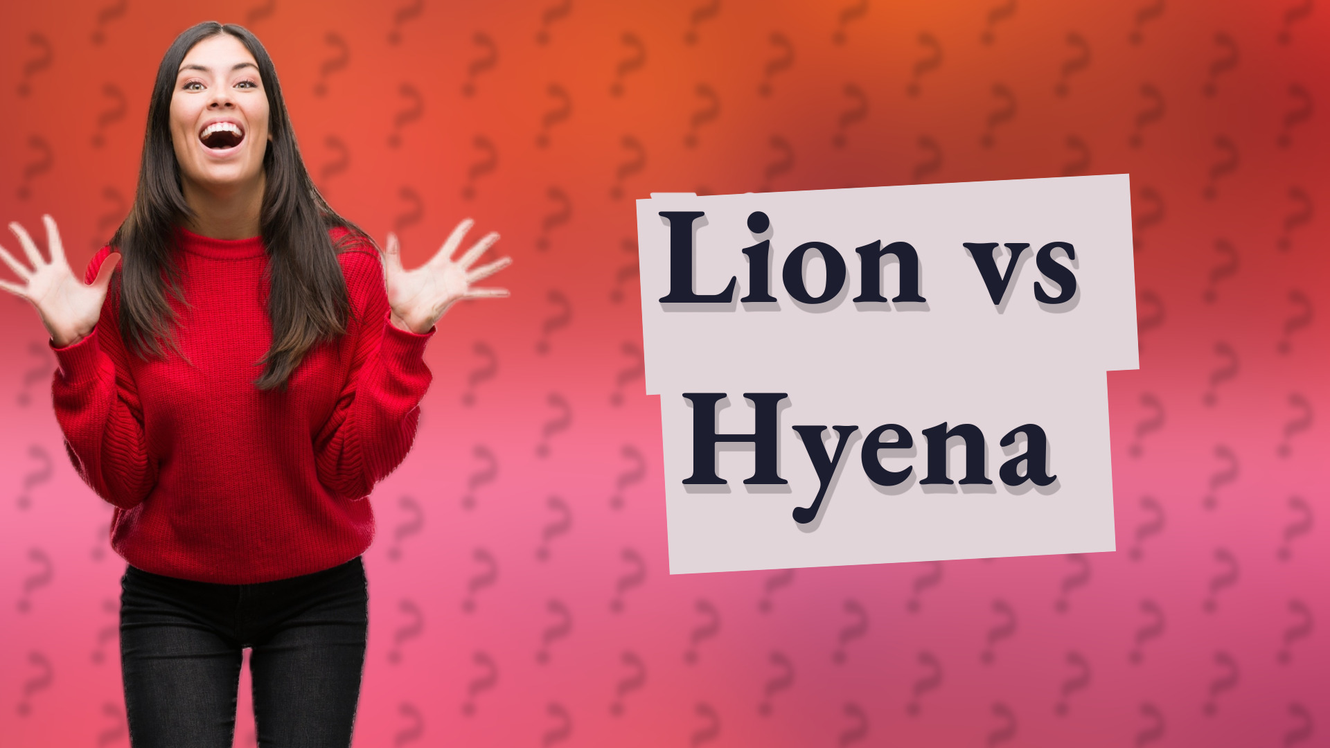 Lion vs Hyena