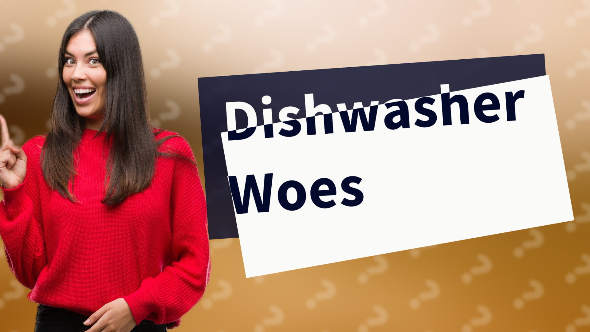 Dishwasher Woes