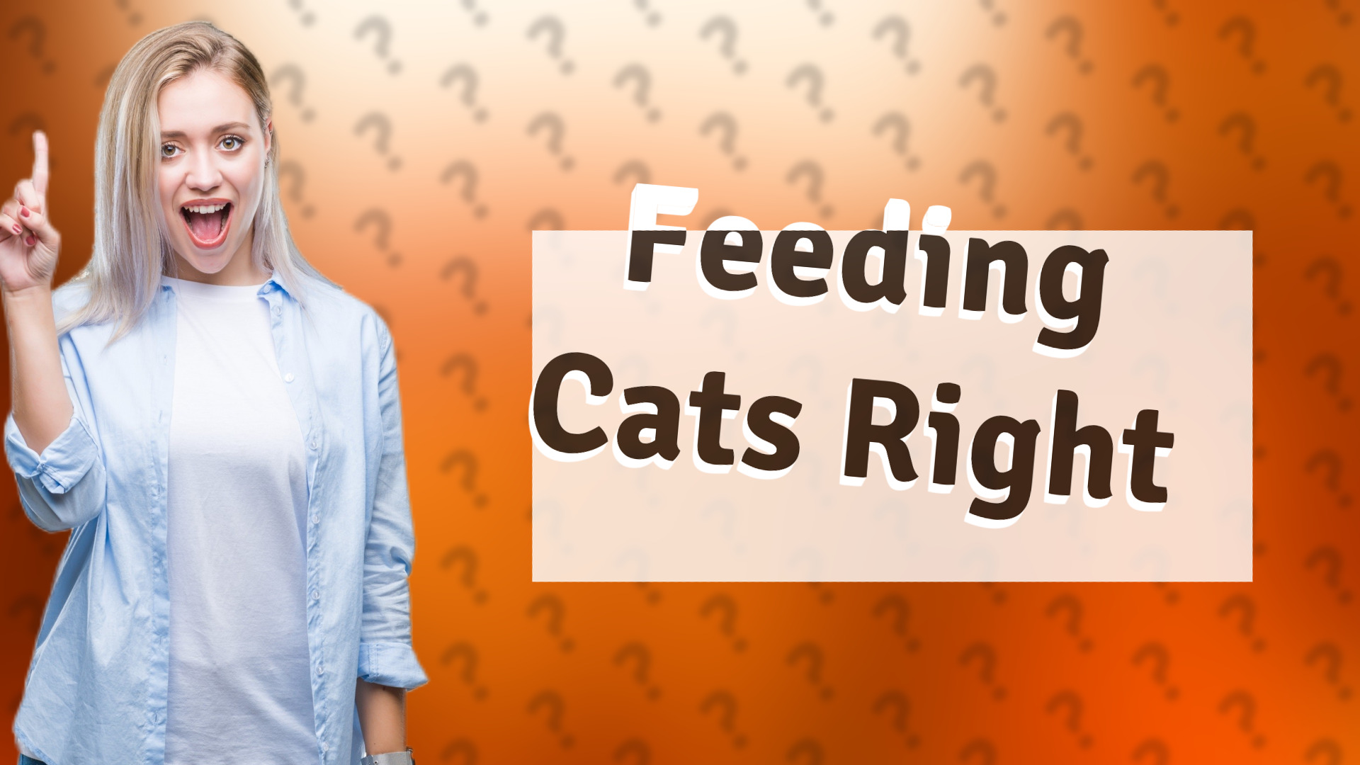 Feeding Cats Right