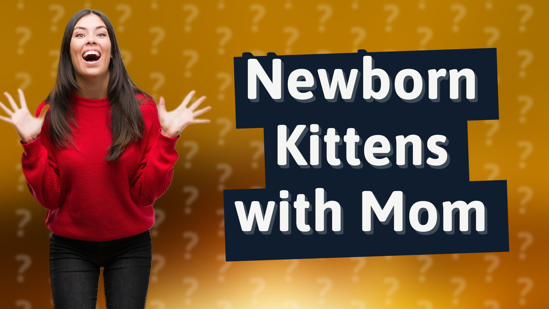 Newborn Kittens with Mom