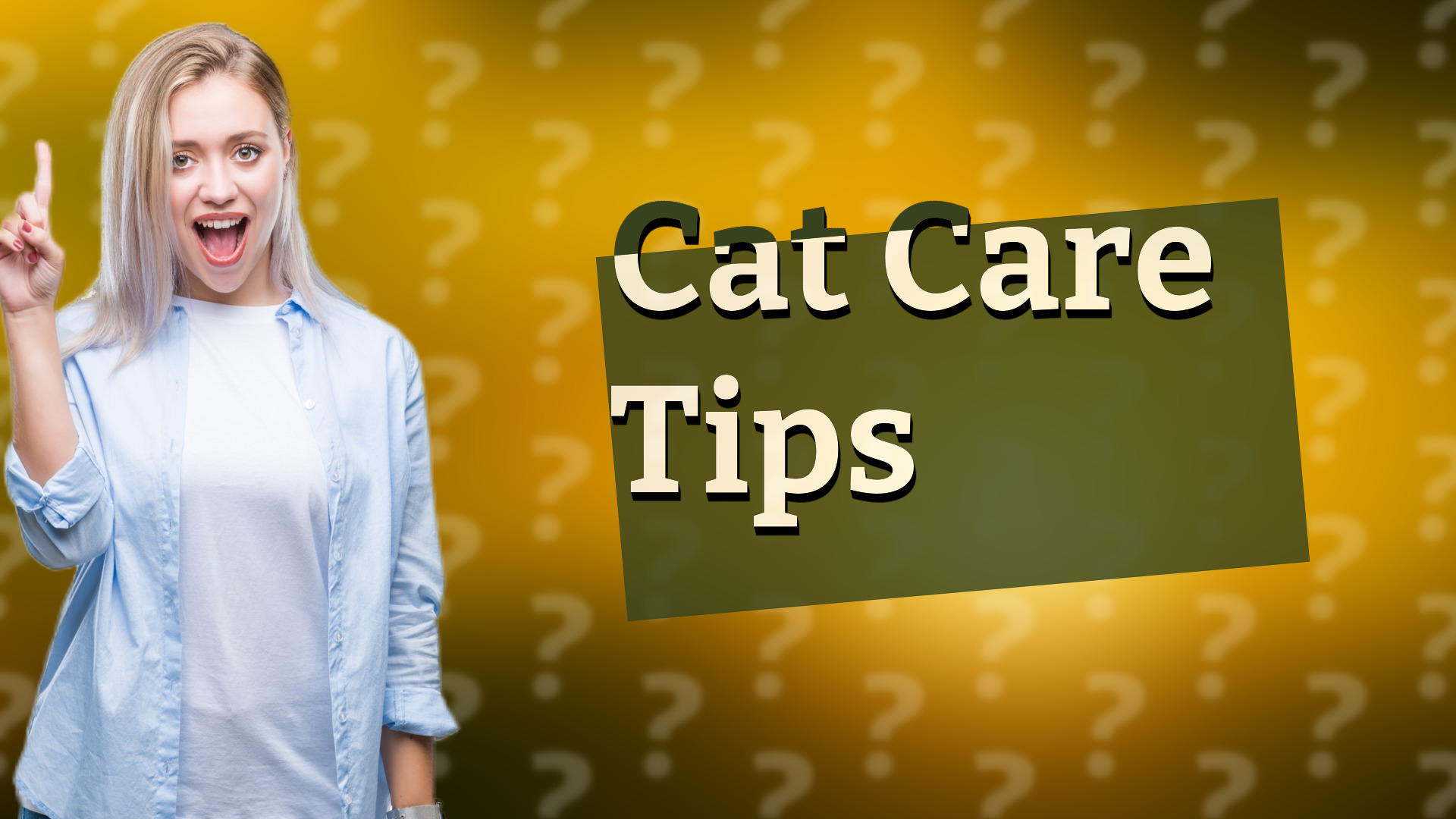 Cat Care Tips