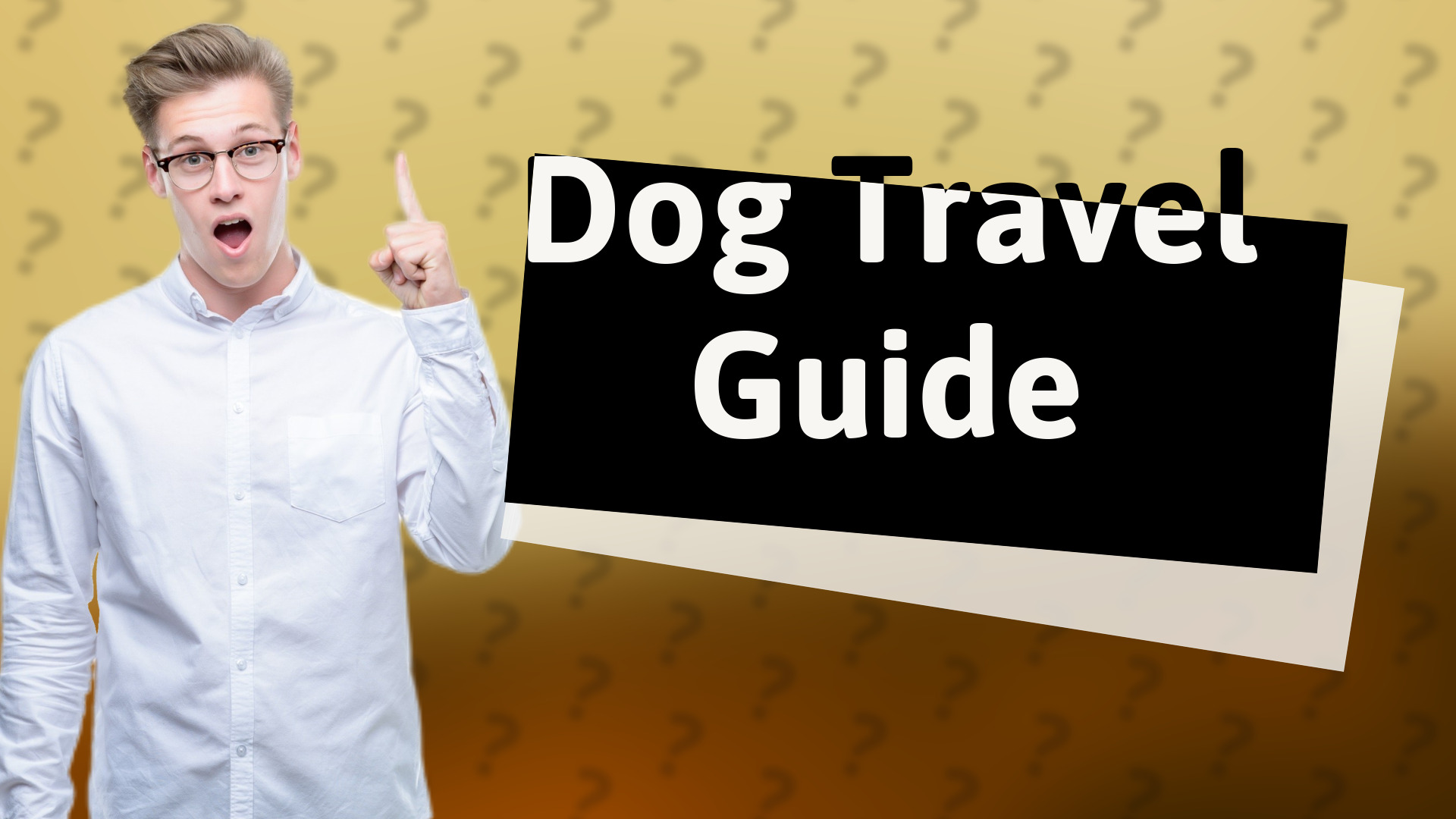 Dog Travel Guide