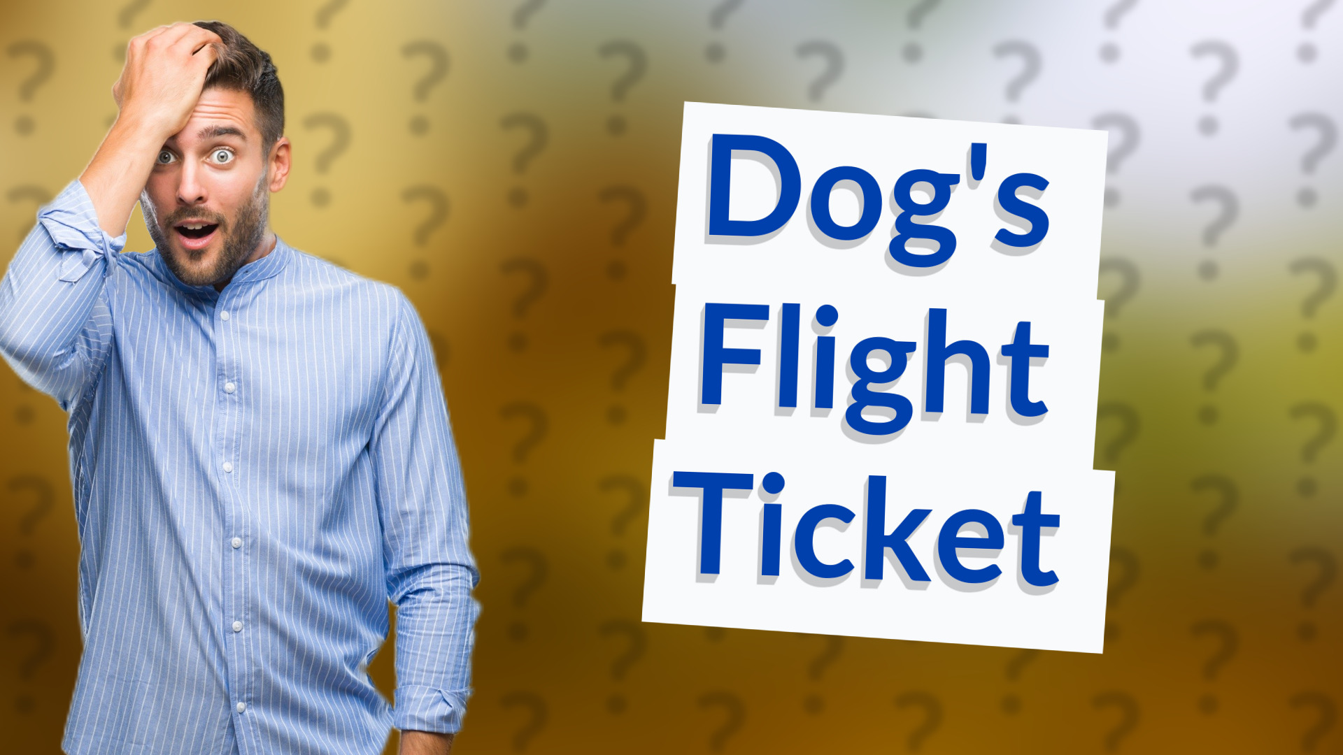Dog's Flight Ticket