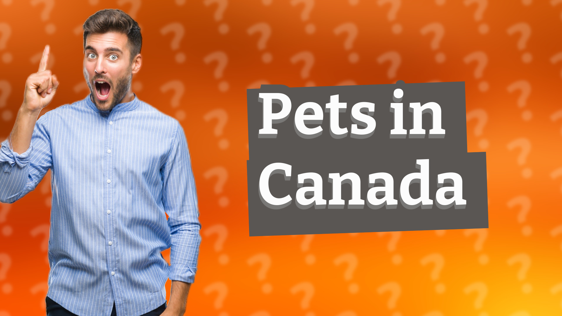 Pets in Canada