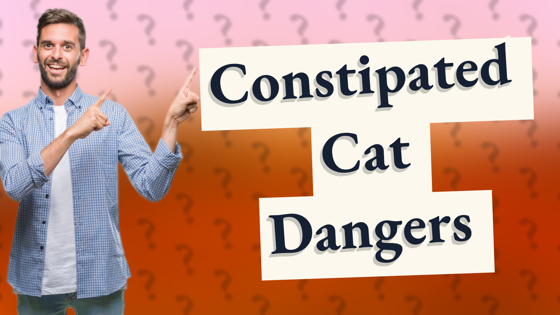 Constipated Cat Dangers