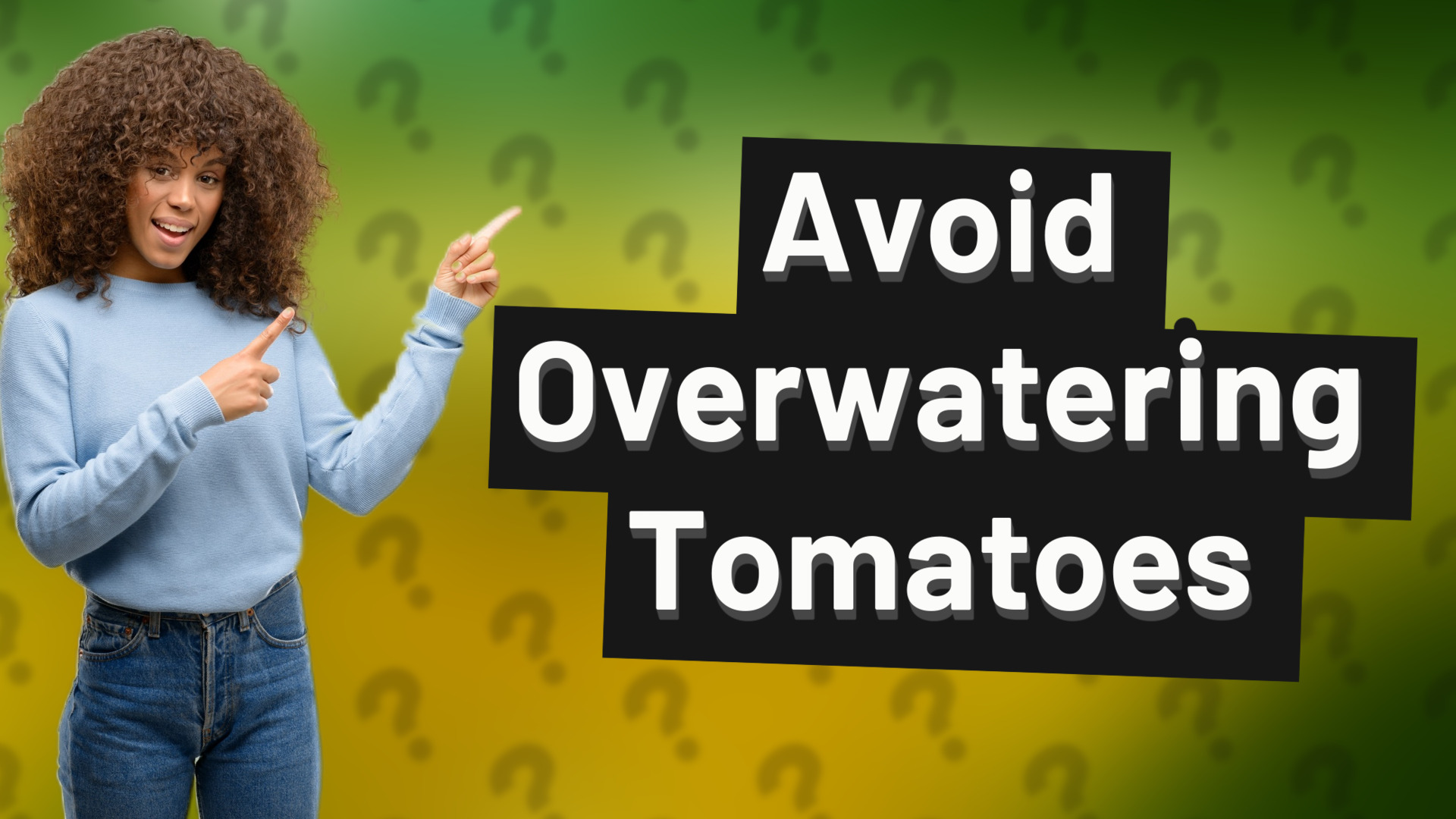 Avoid Overwatering Tomatoes
