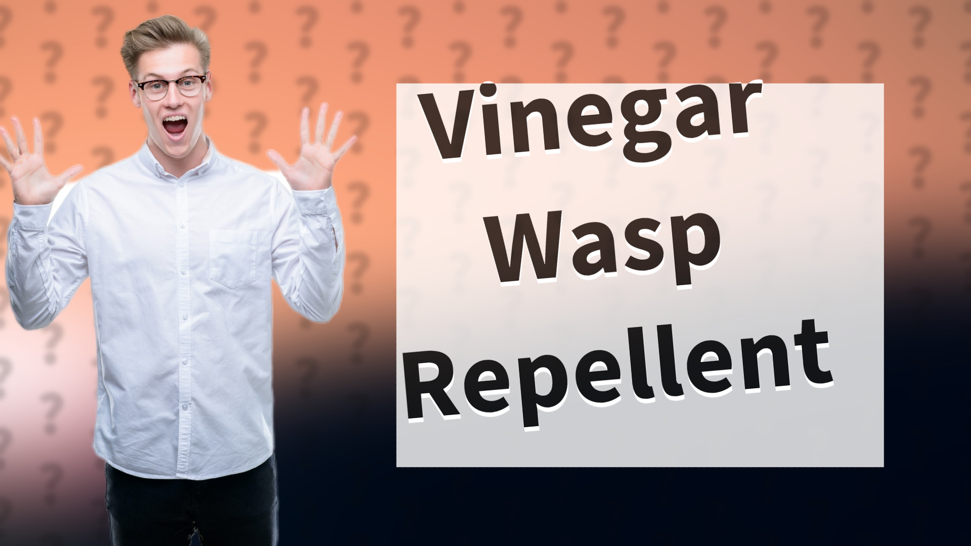 Vinegar Wasp Repellent