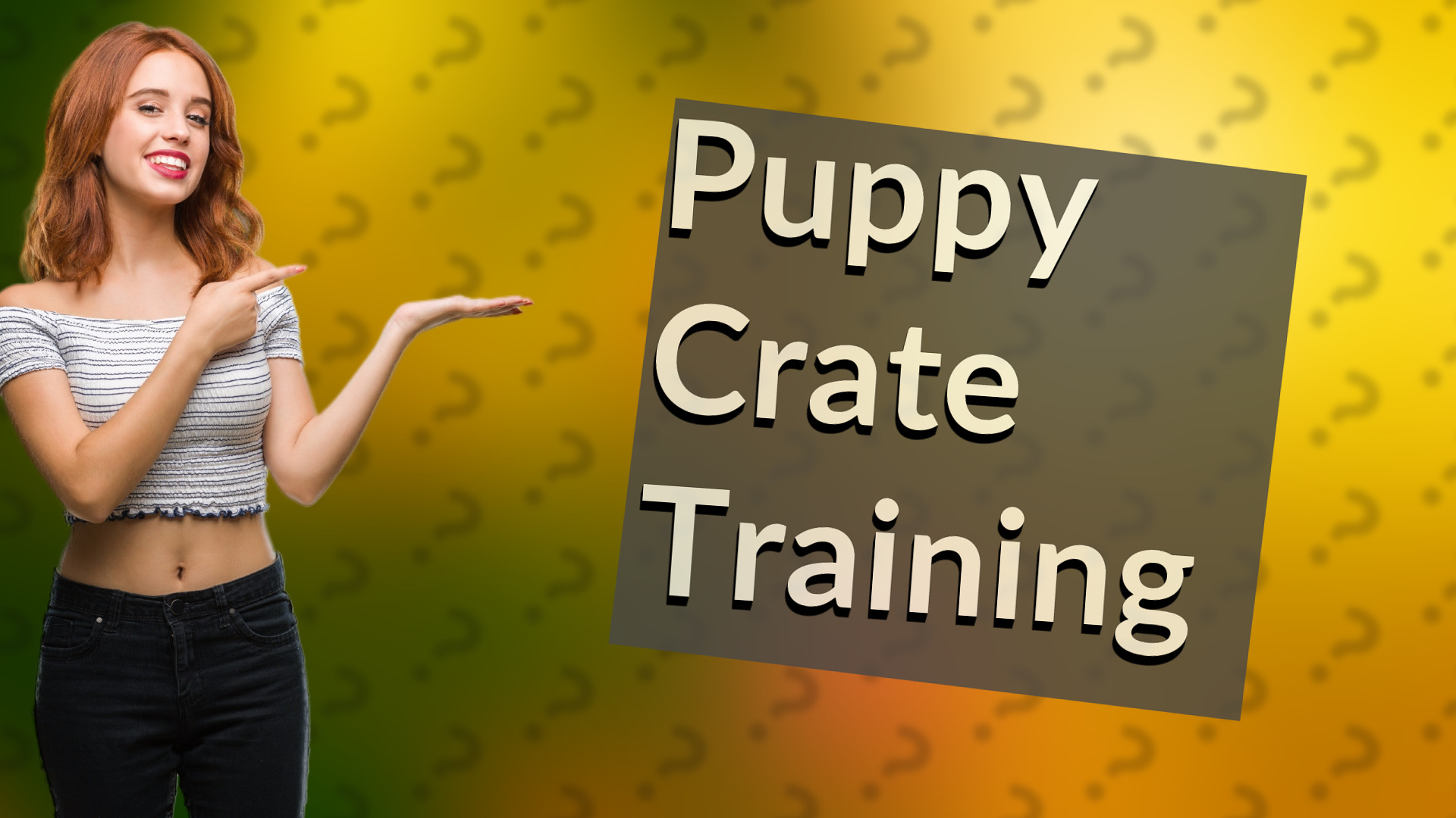 Puppy Crate Training