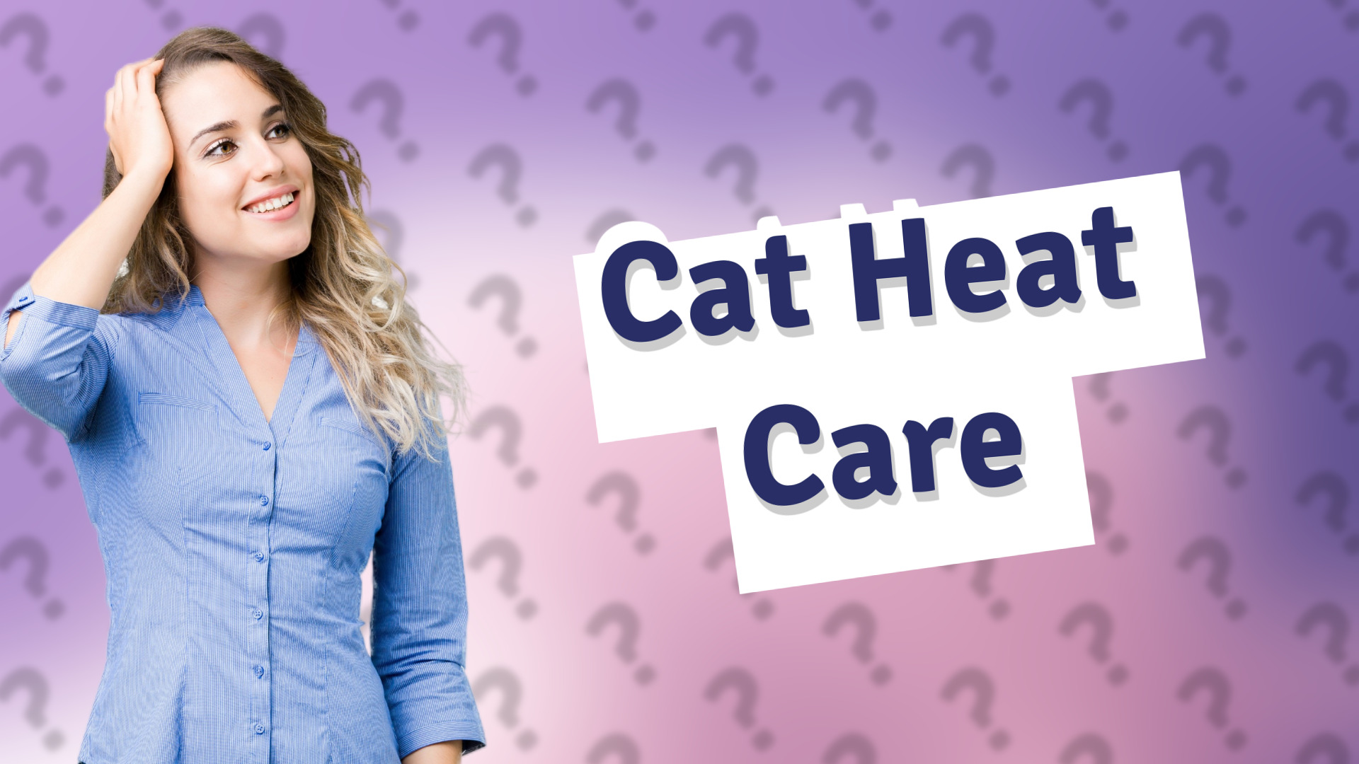 Cat Heat Care