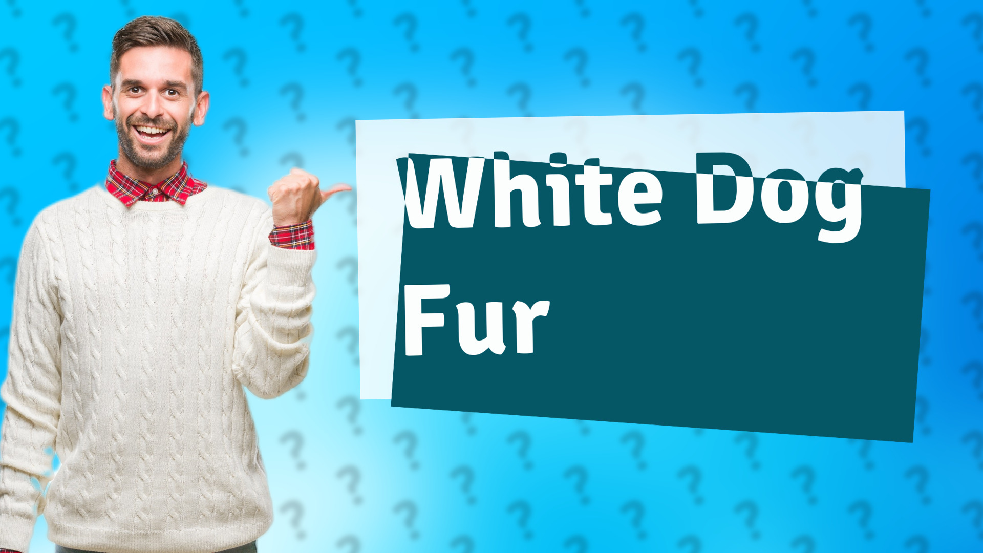 White Dog Fur