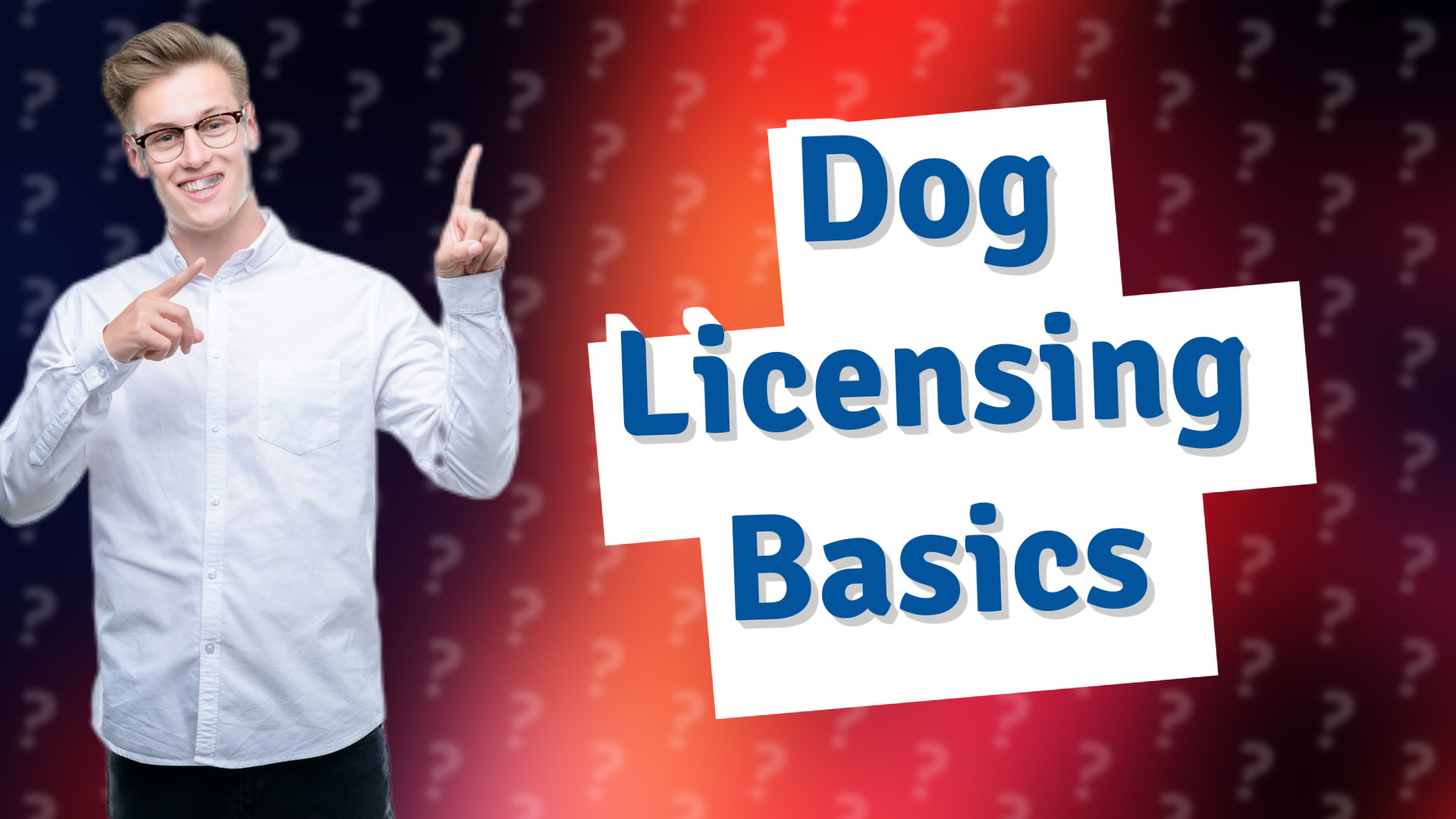 Dog Licensing Basics