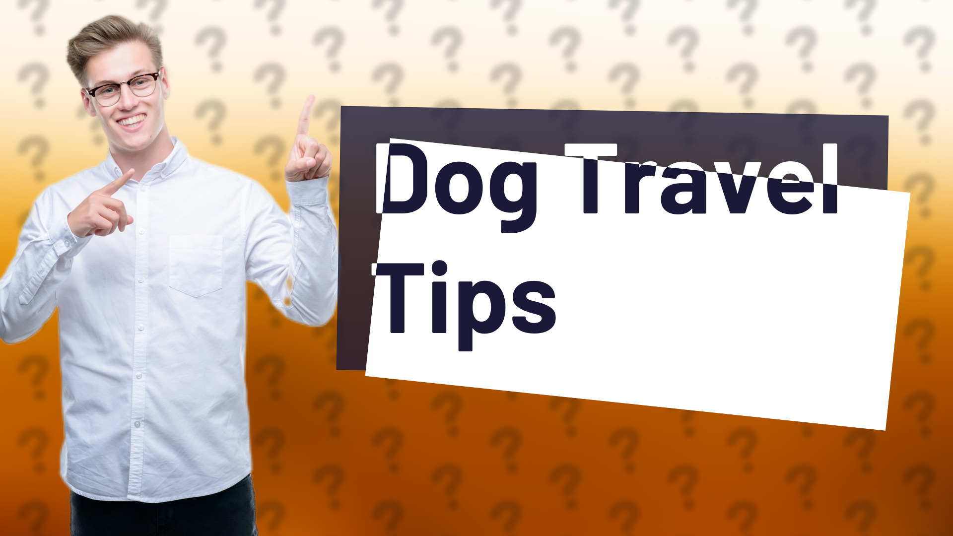 Dog Travel Tips