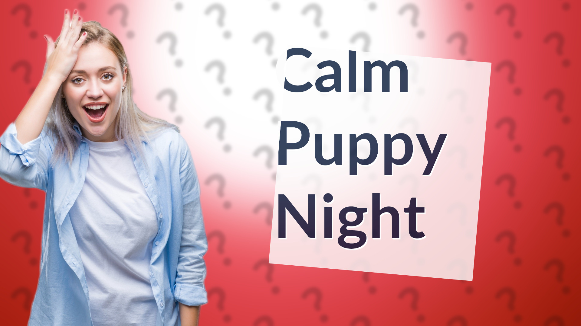 Calm Puppy Night
