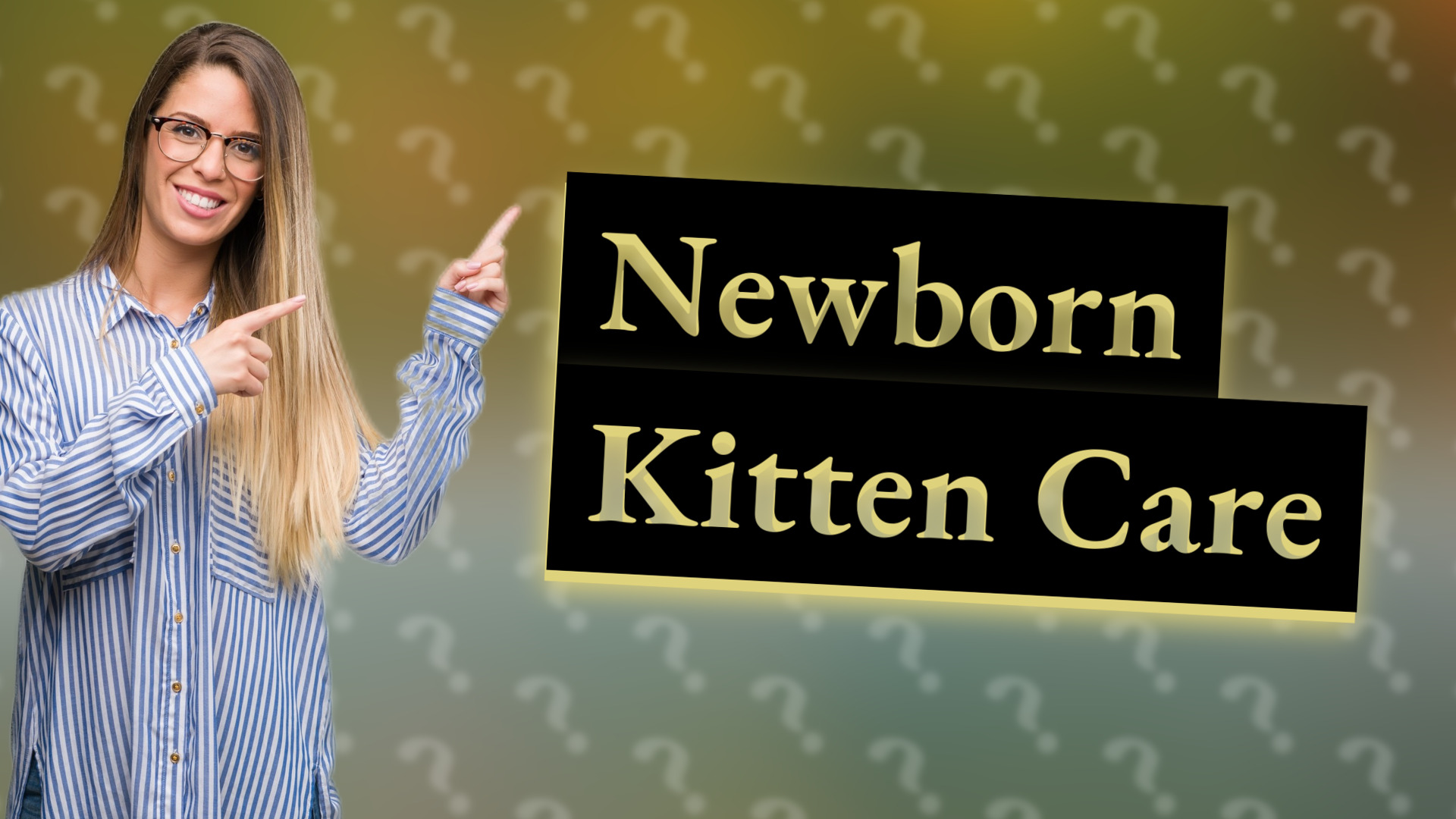 Newborn Kitten Care