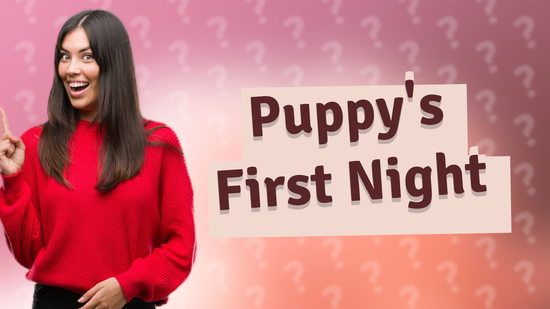 Puppy's First Night