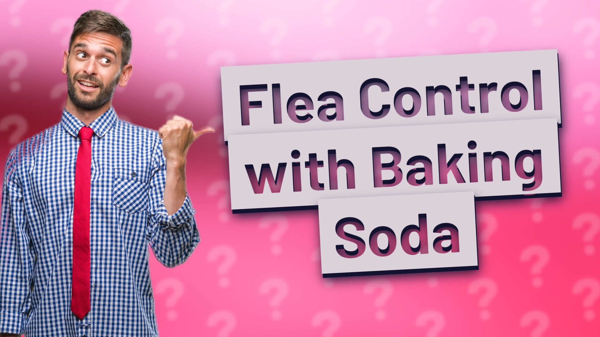 Flea Control with Baking Soda