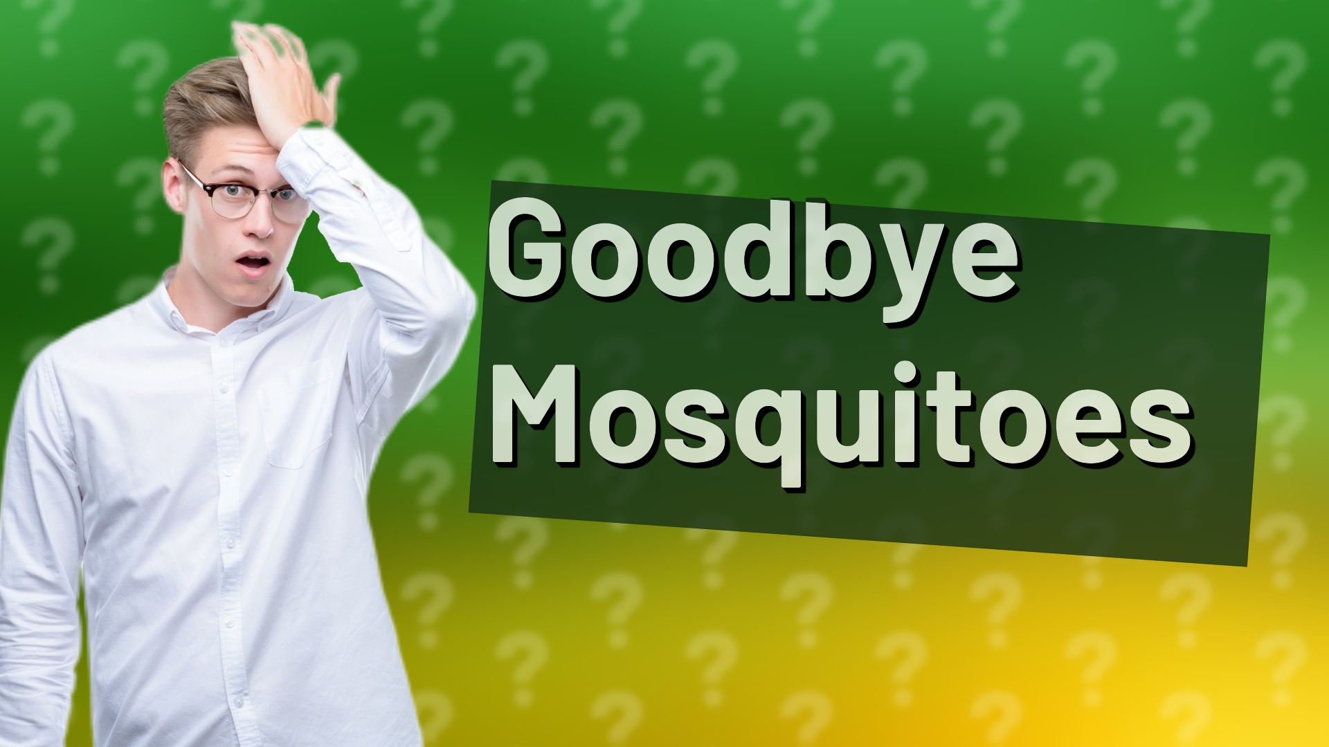Goodbye Mosquitoes