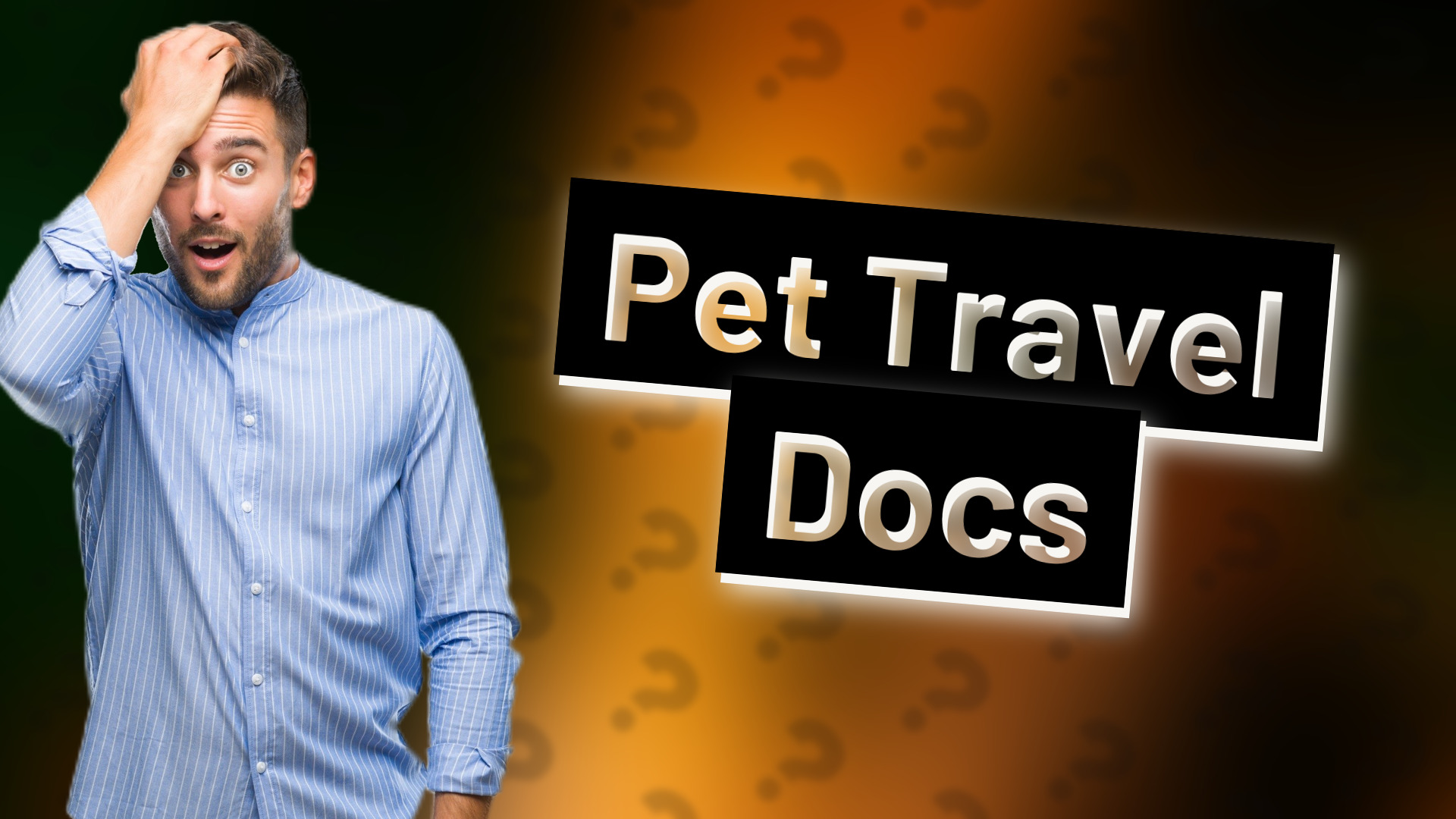 Pet Travel Docs