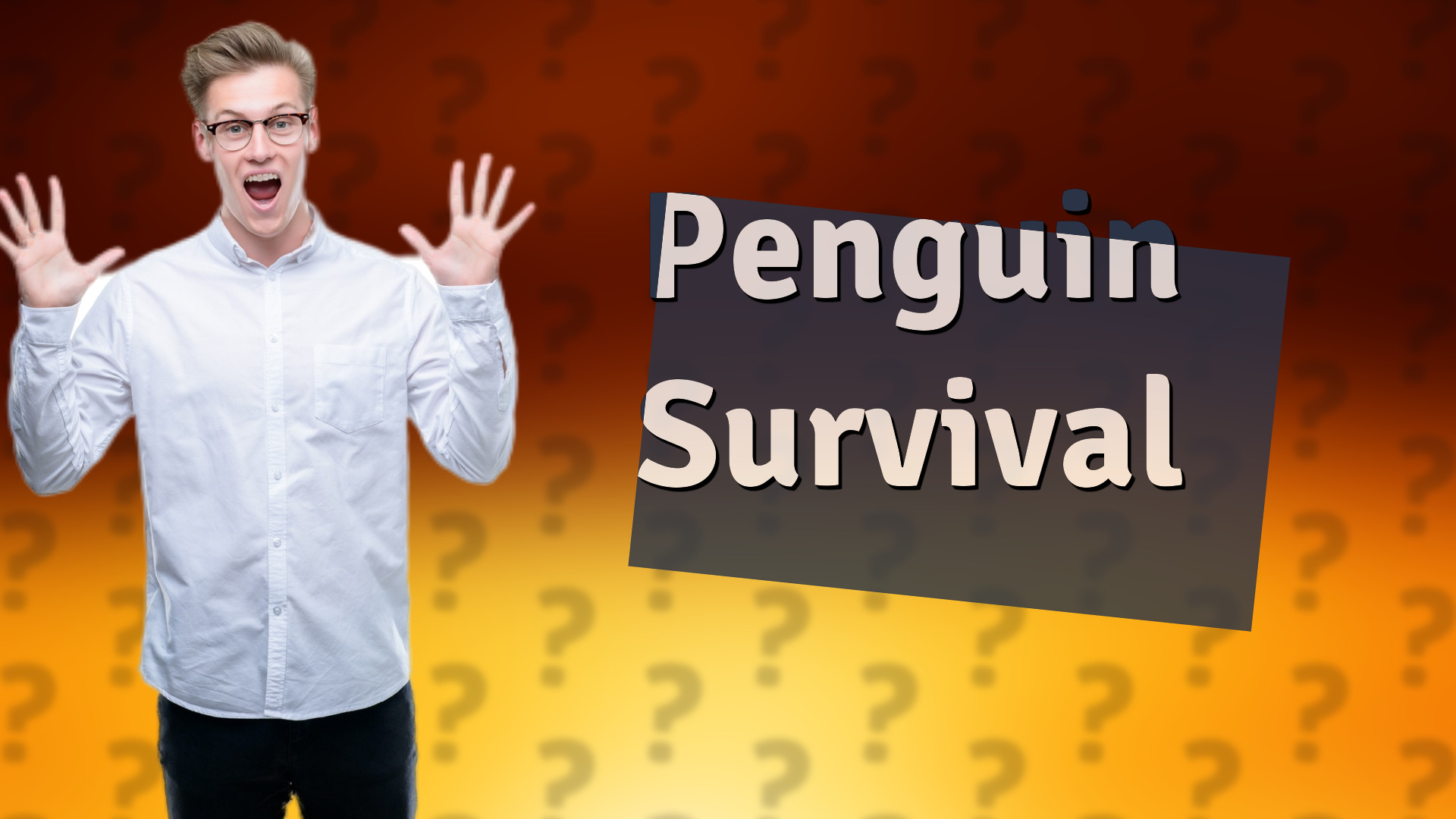 Penguin Survival