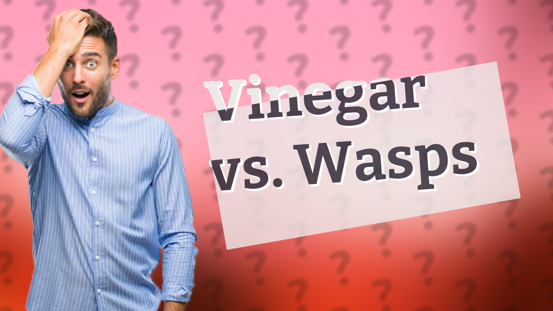 Vinegar vs. Wasps