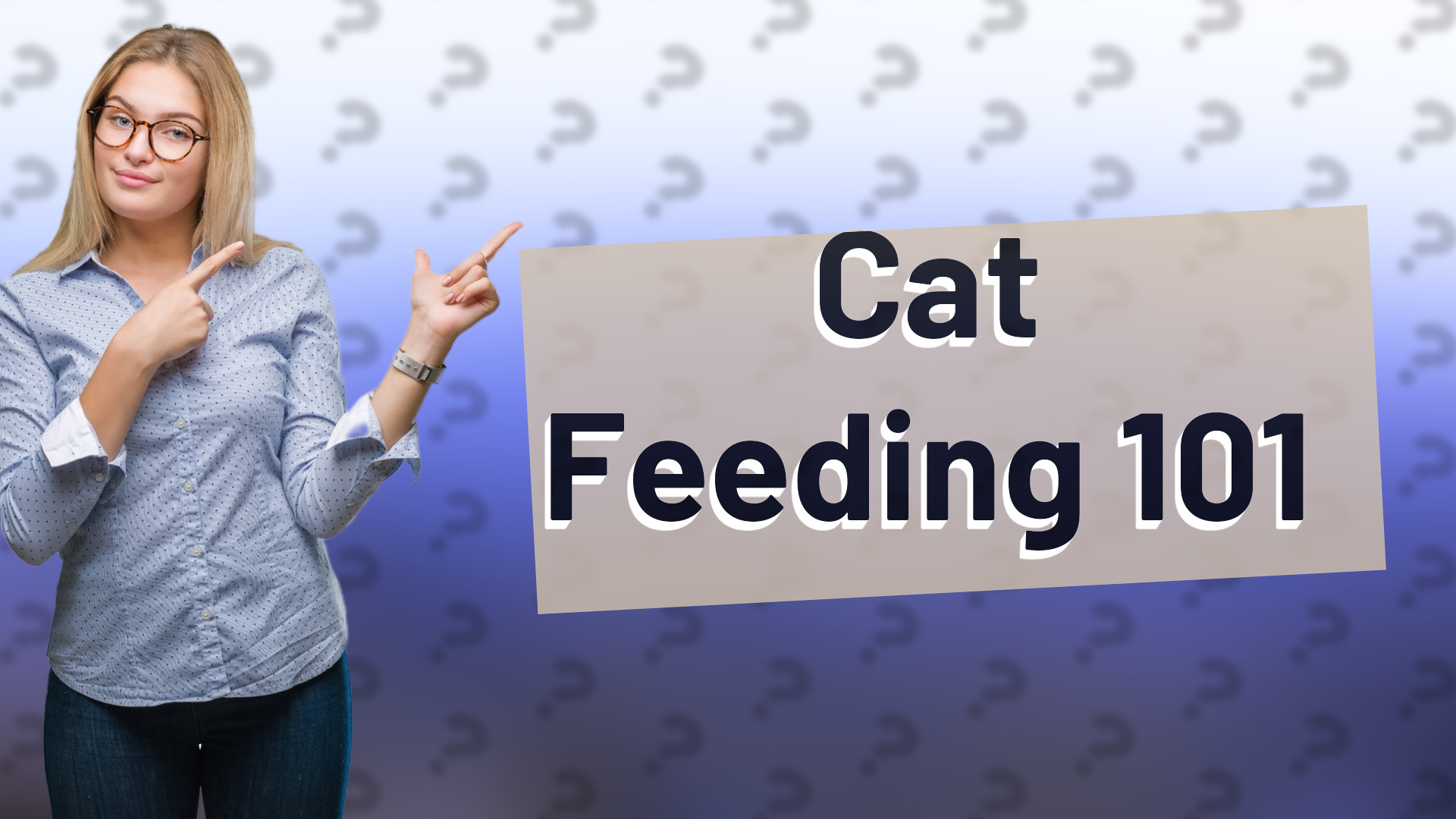Cat Feeding 101
