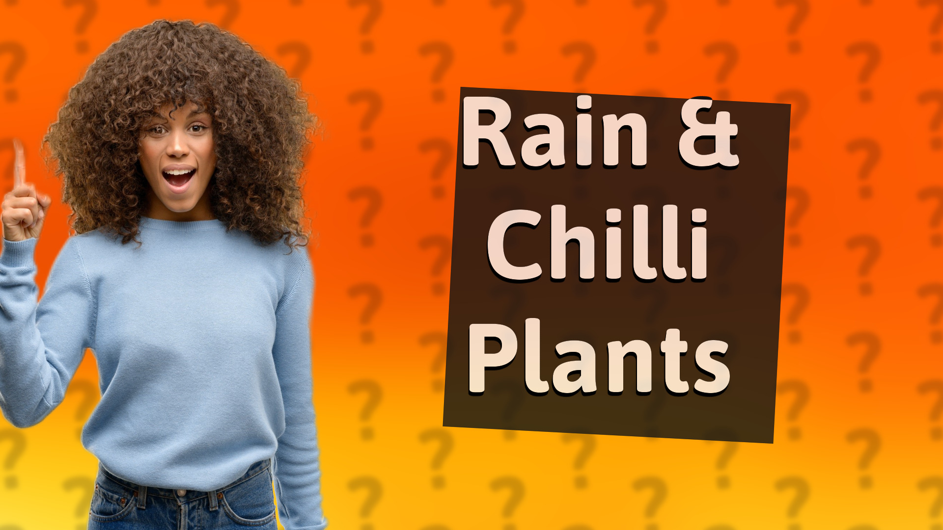 Rain & Chilli Plants