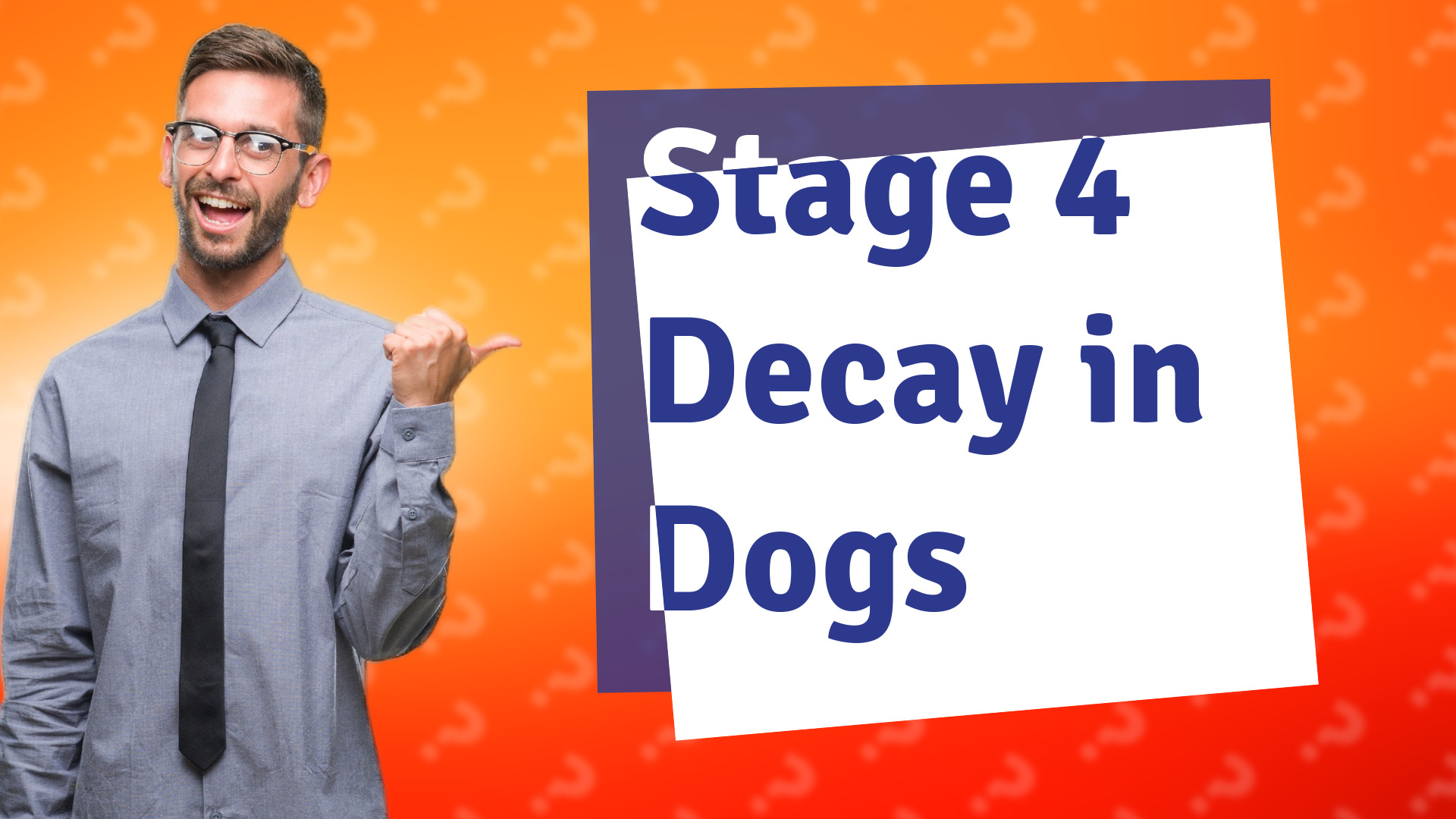 Stage 4 Decay in Dogs