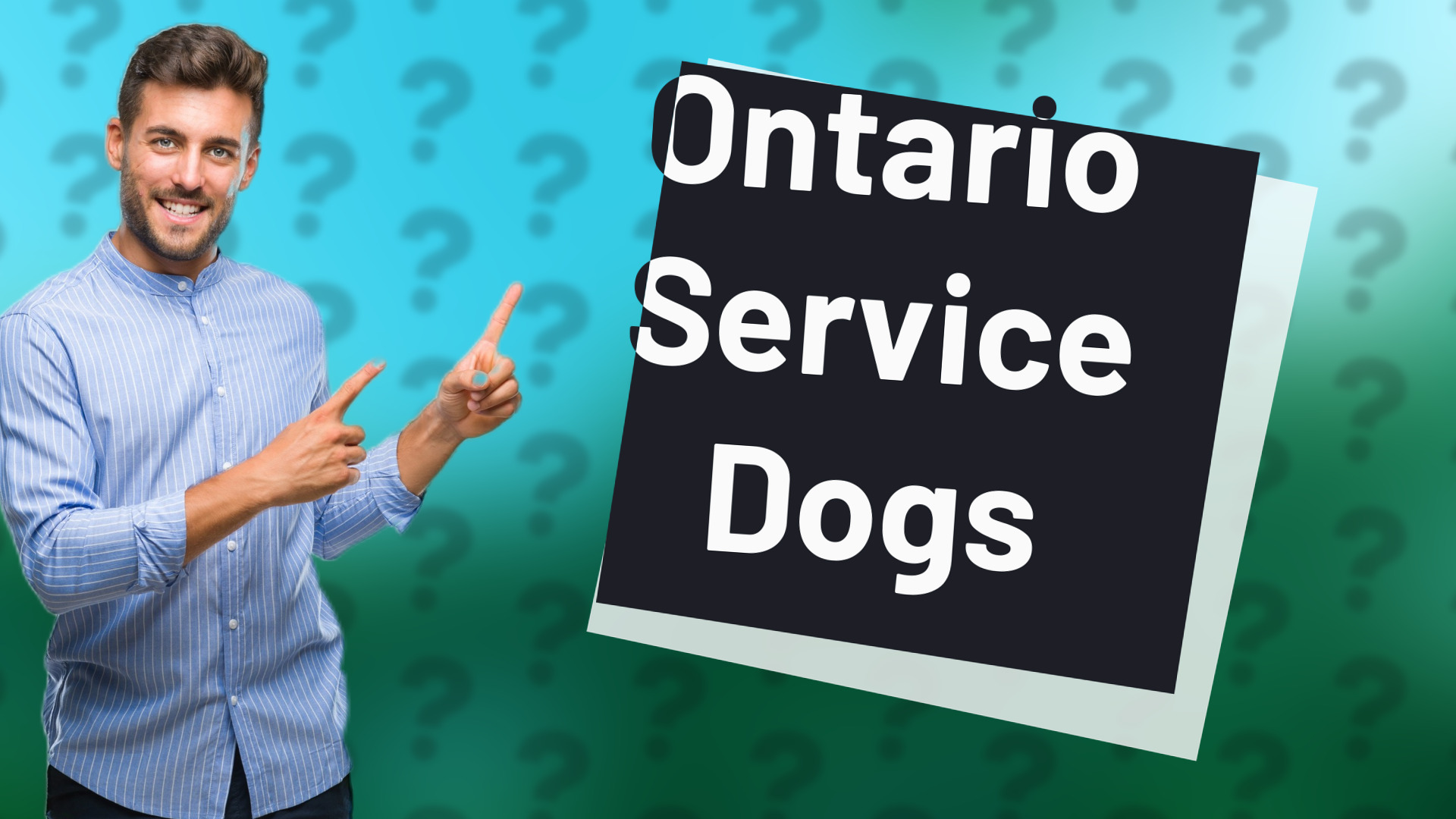 Ontario Service Dogs
