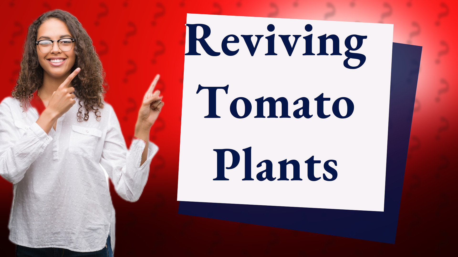 Reviving Tomato Plants
