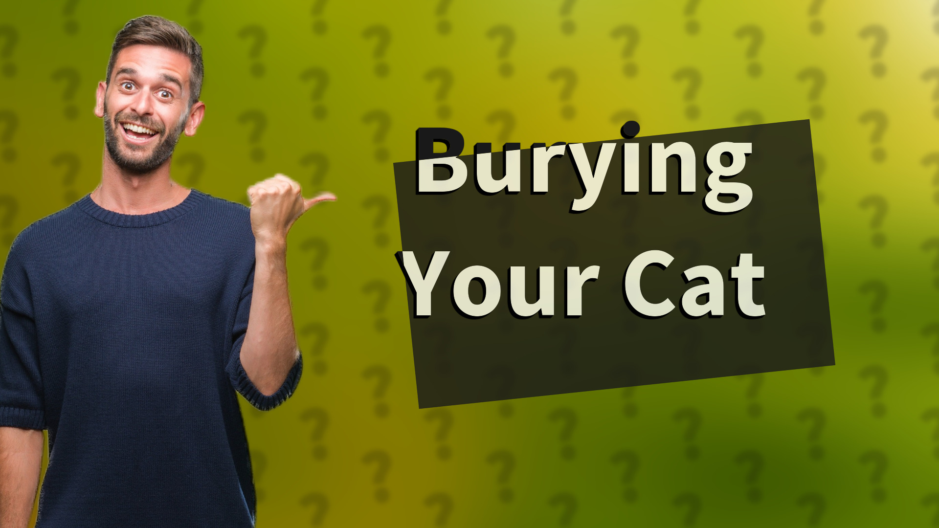 Burying Your Cat