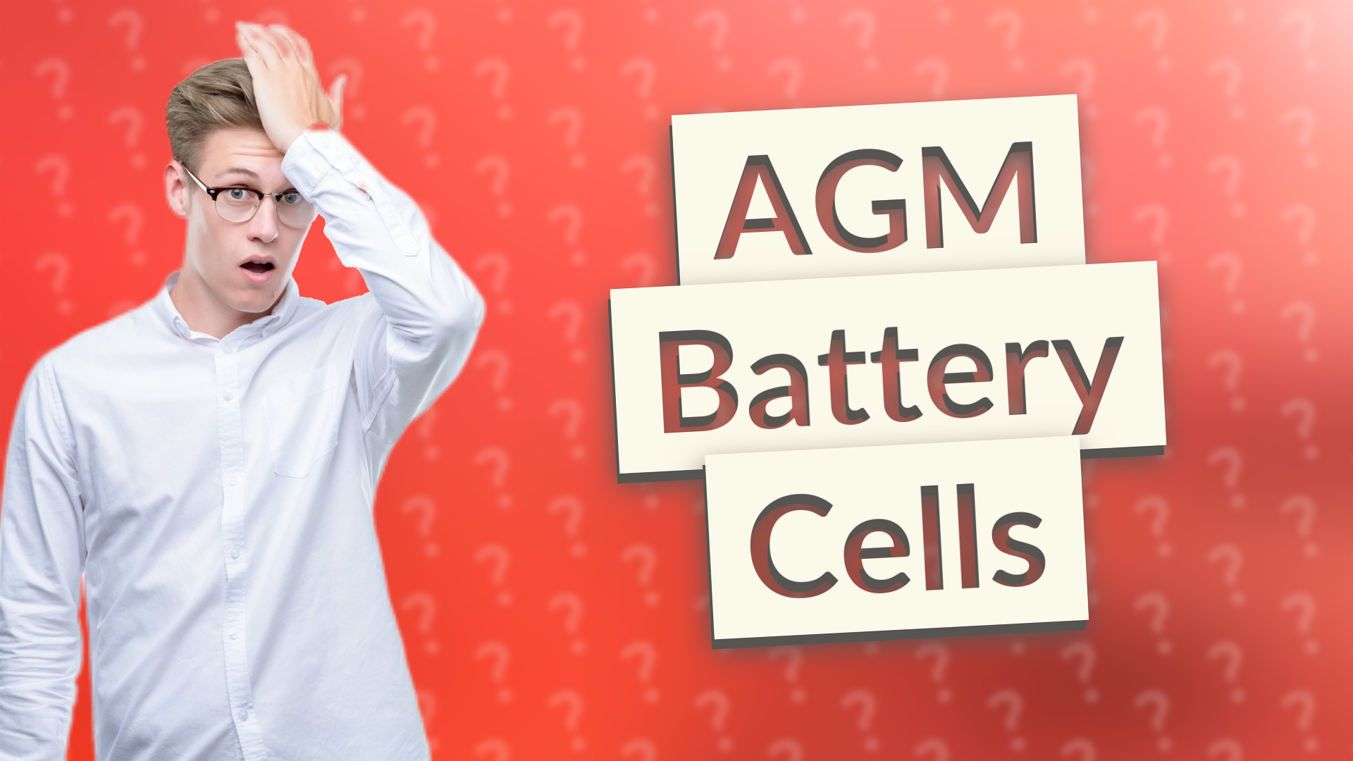 AGM Battery Cells
