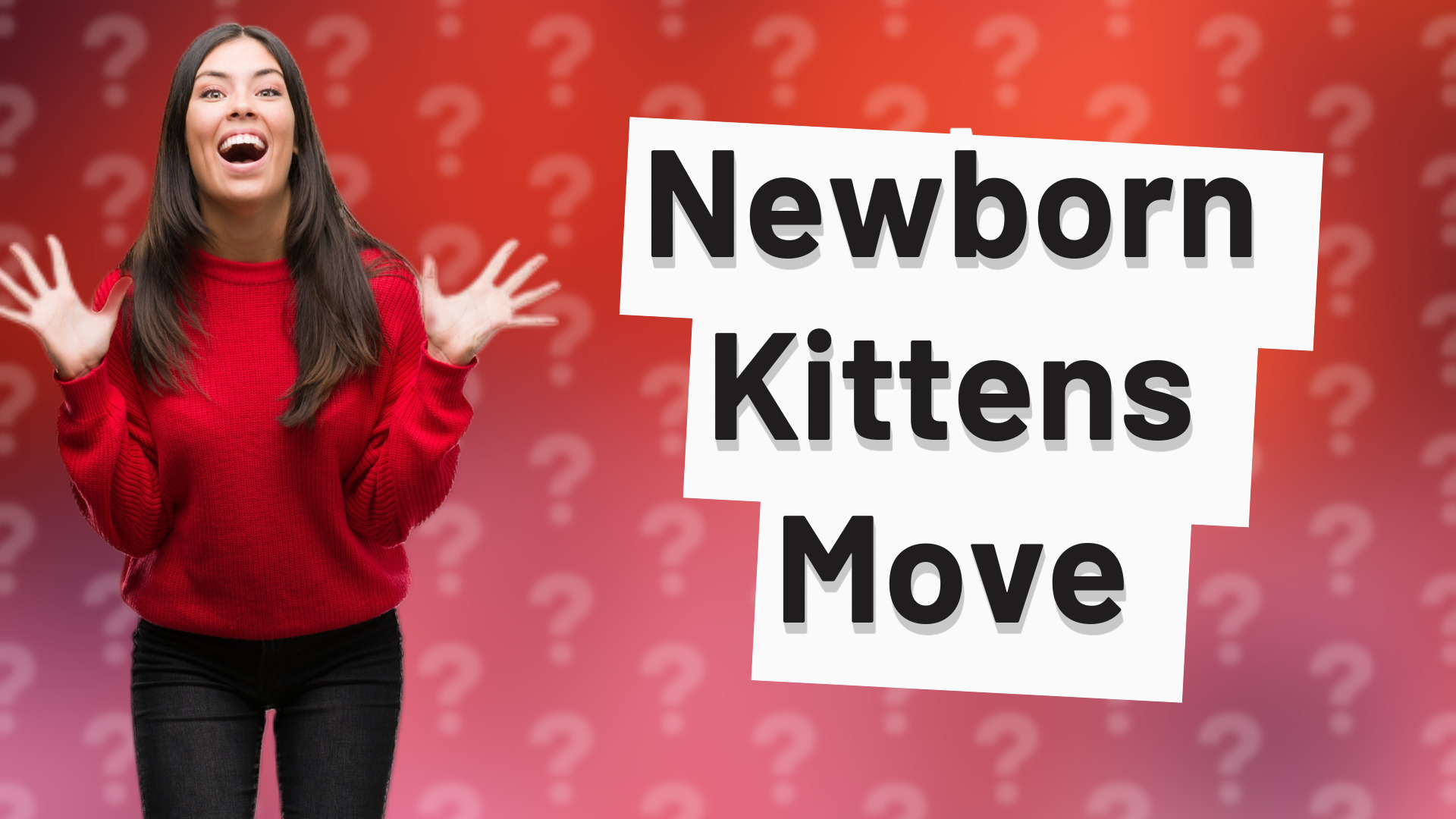 Newborn Kittens Move