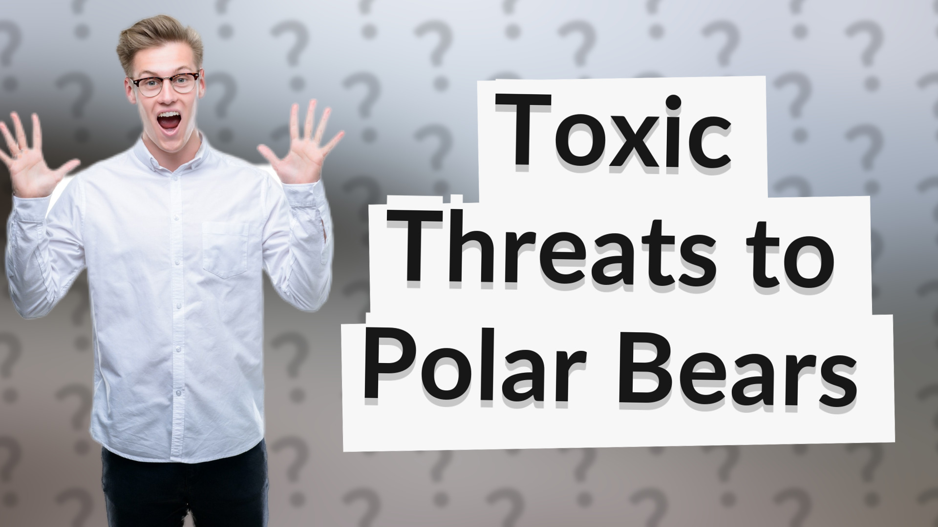 Toxic Threats to Polar Bears
