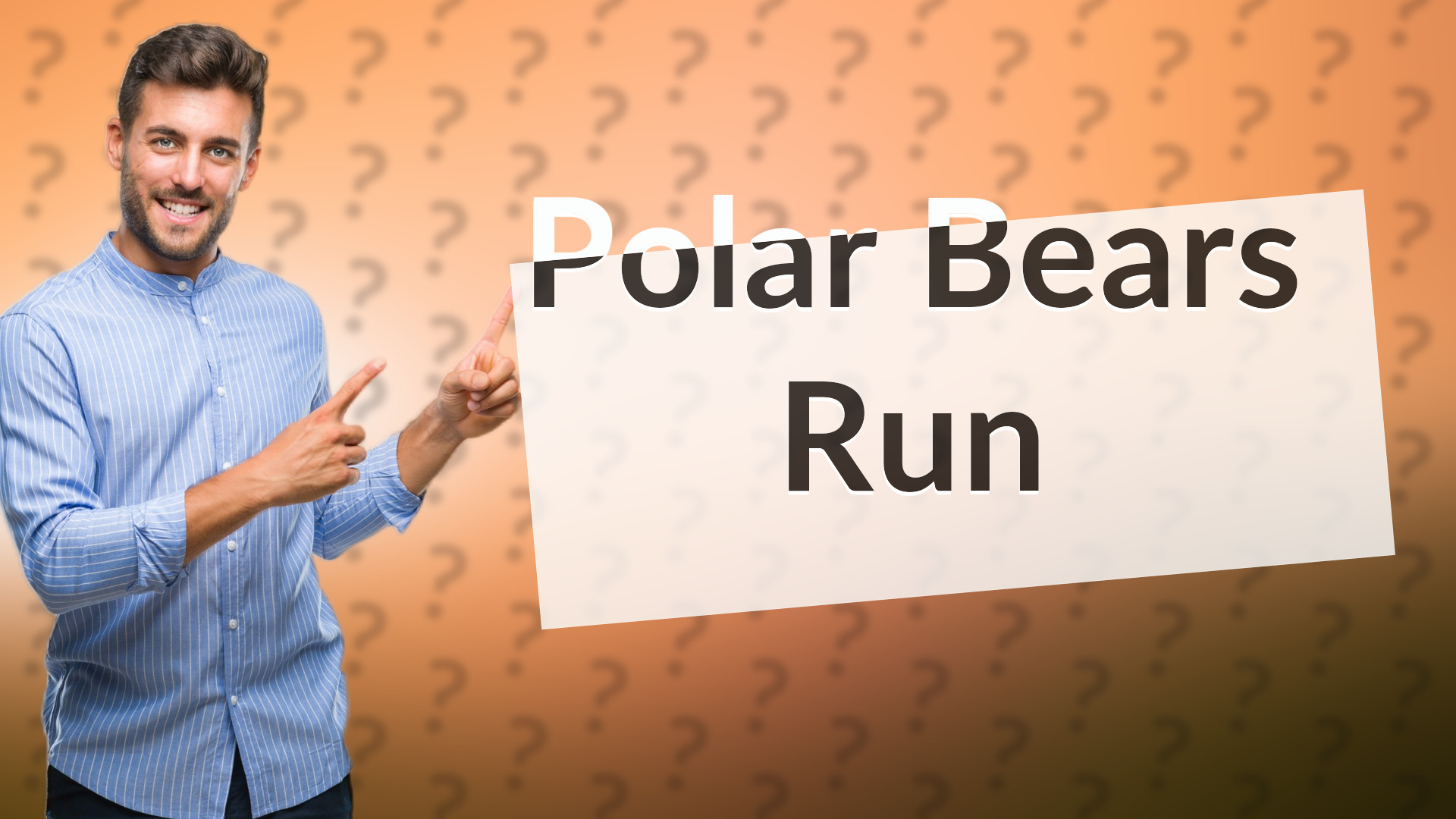 Polar Bears Run