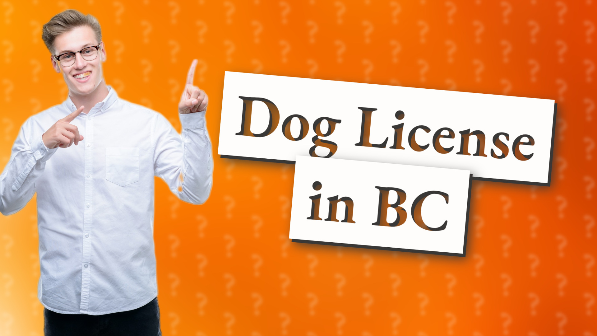 Dog License in BC