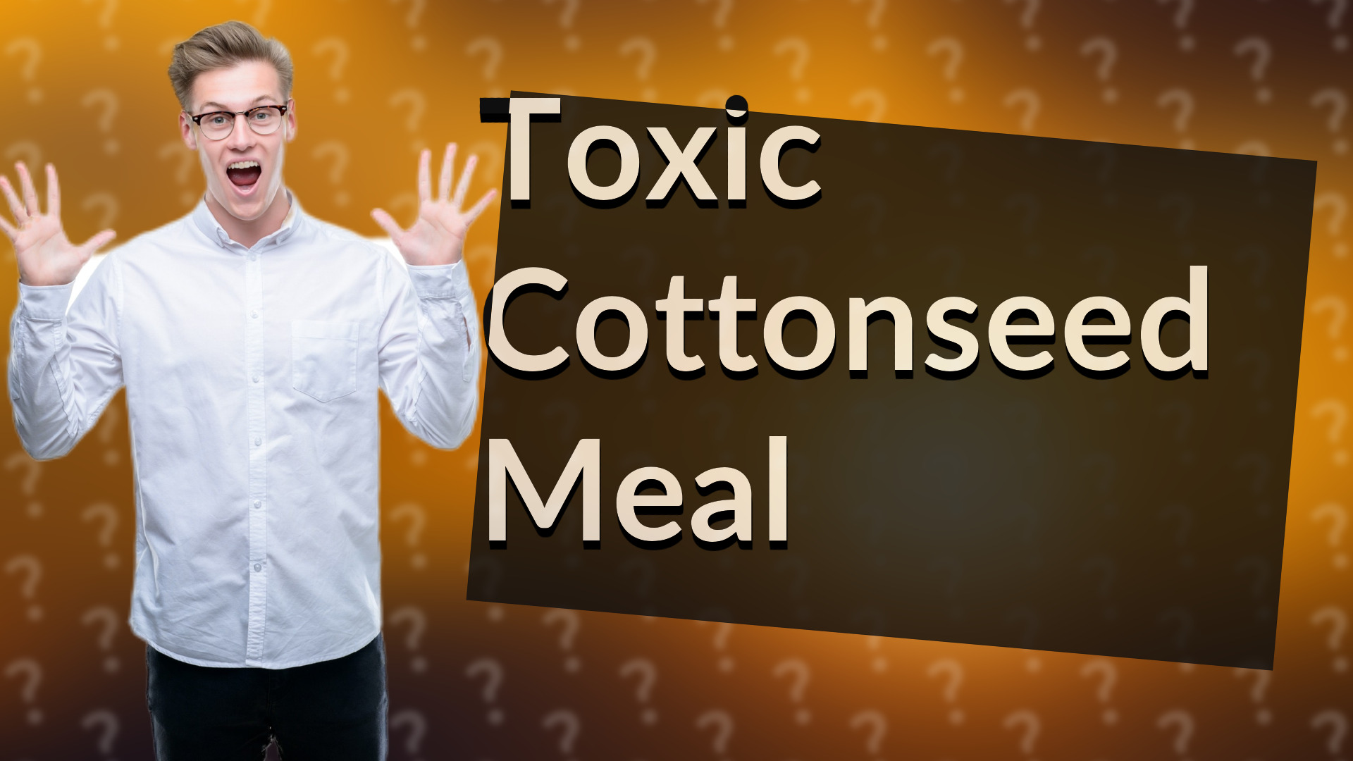 Toxic Cottonseed Meal