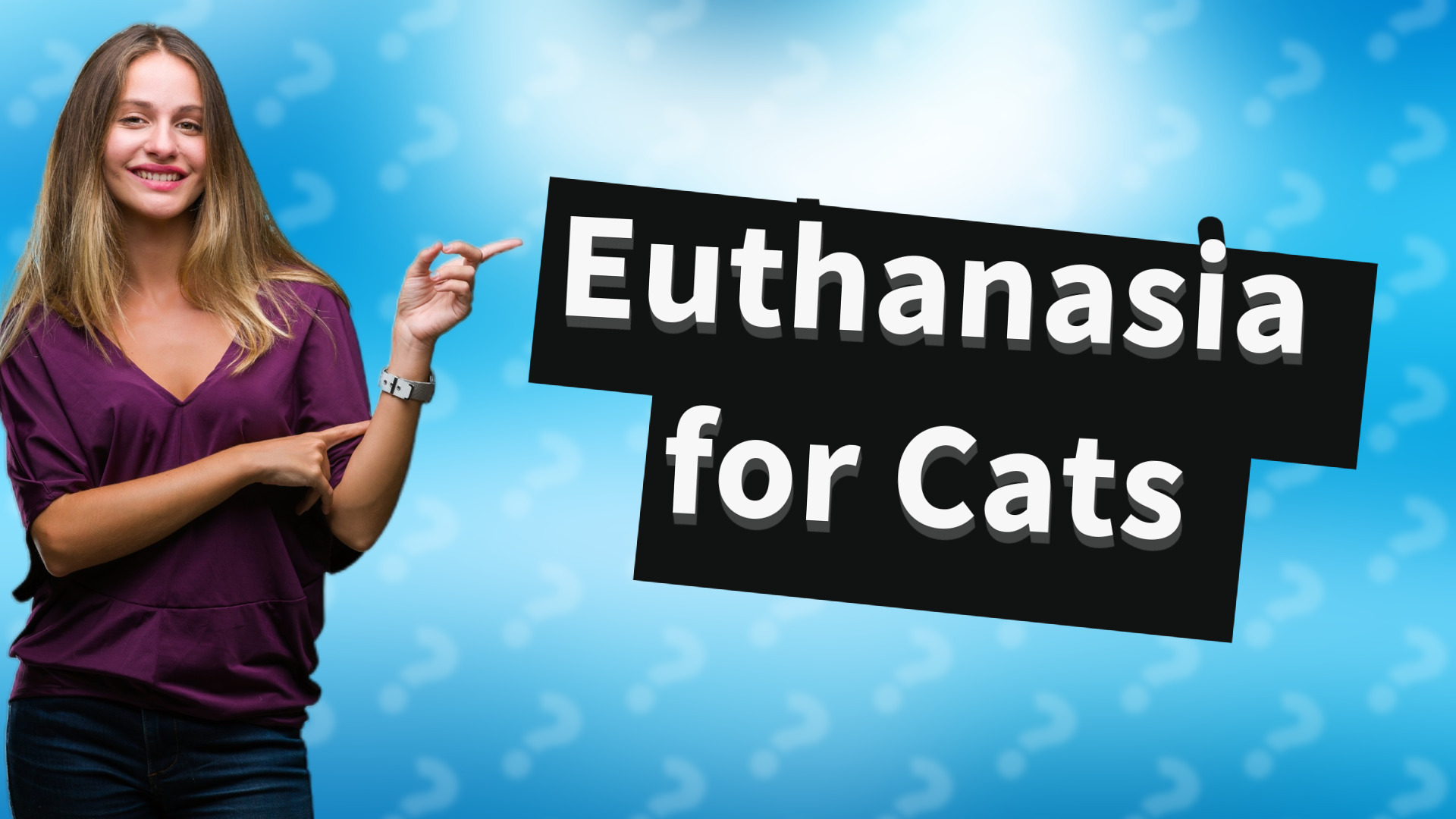 Euthanasia for Cats