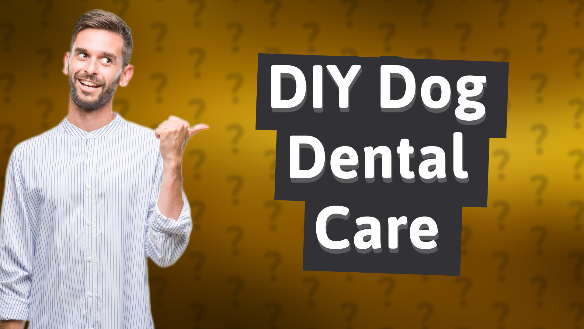 DIY Dog Dental Care