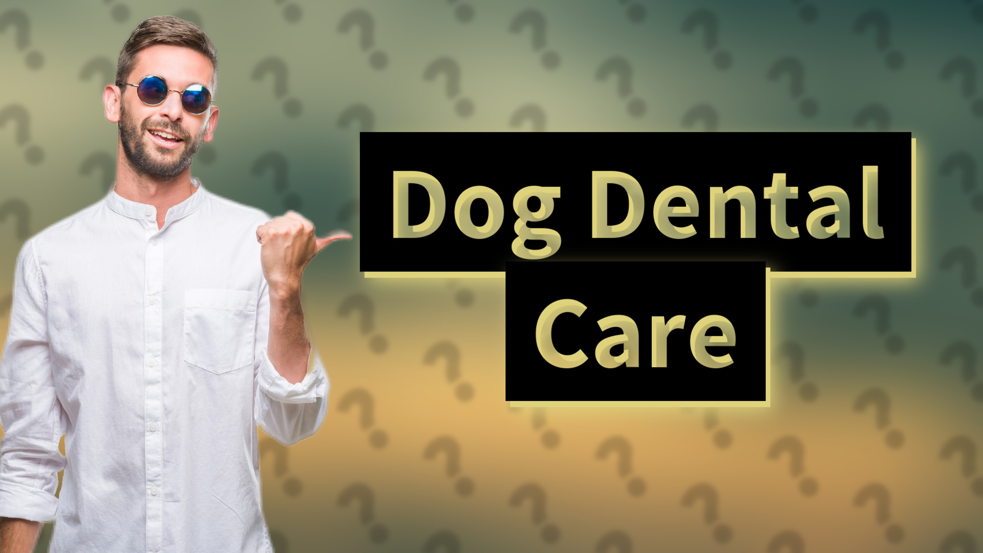 Dog Dental Care