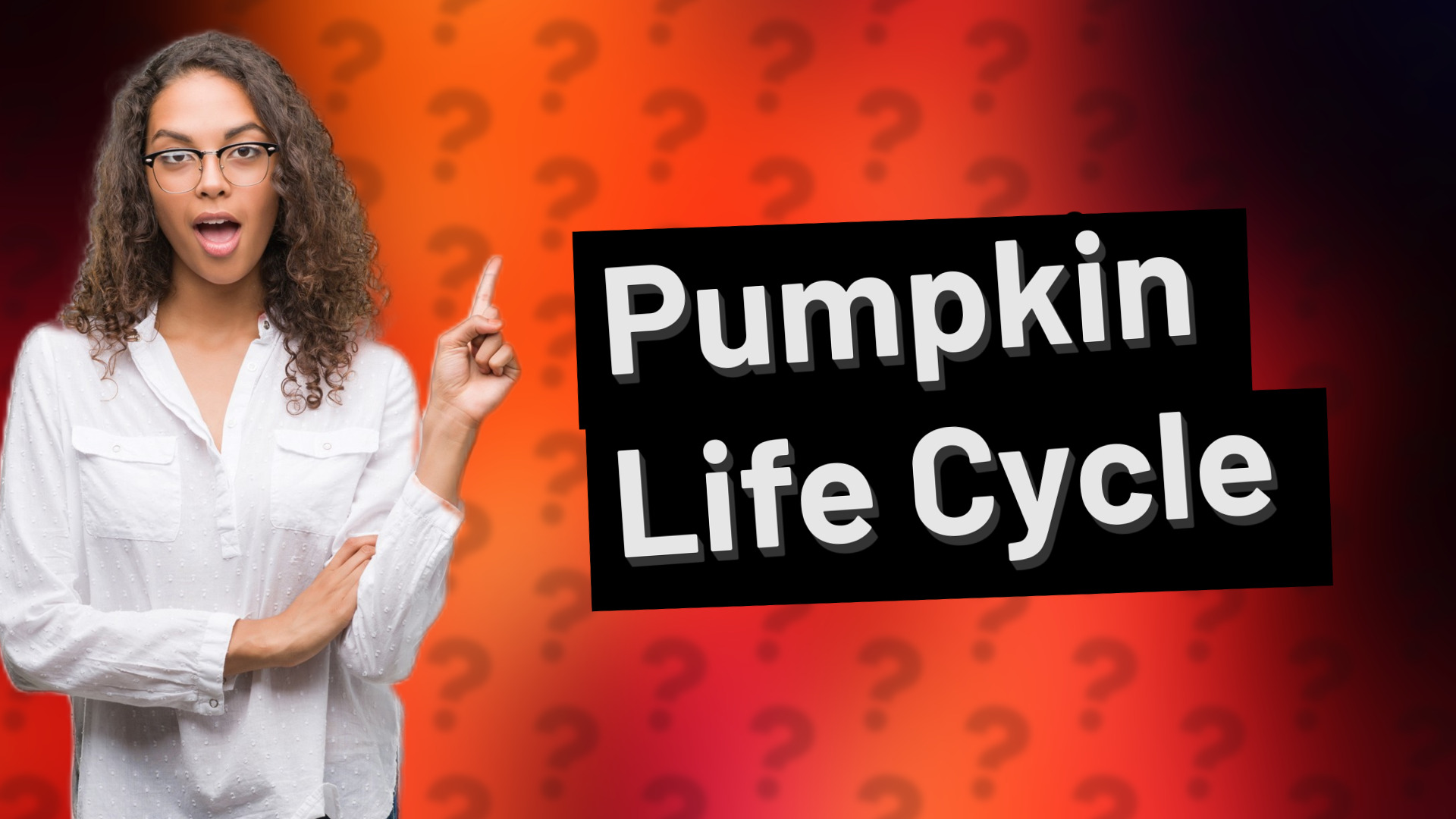 Pumpkin Life Cycle